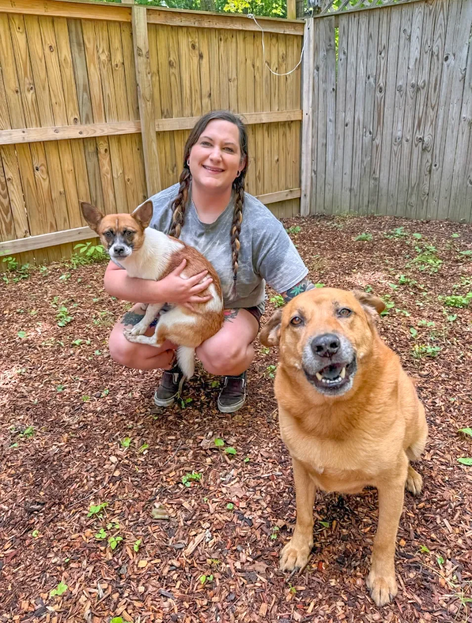 A woman with braided hair crouching outdoors in a fenced backyard, holding a small mixed breed dog. Another larger dog is sitting on the ground nearby, both dogs looking happily at the camera.