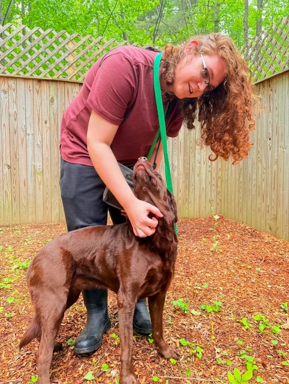 A young man with red hair playing with a brown puppy in a backyard with a wooden fence and green trees in the background.