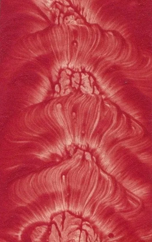 Red and white abstract pattern with swirling lines and branching shapes.
