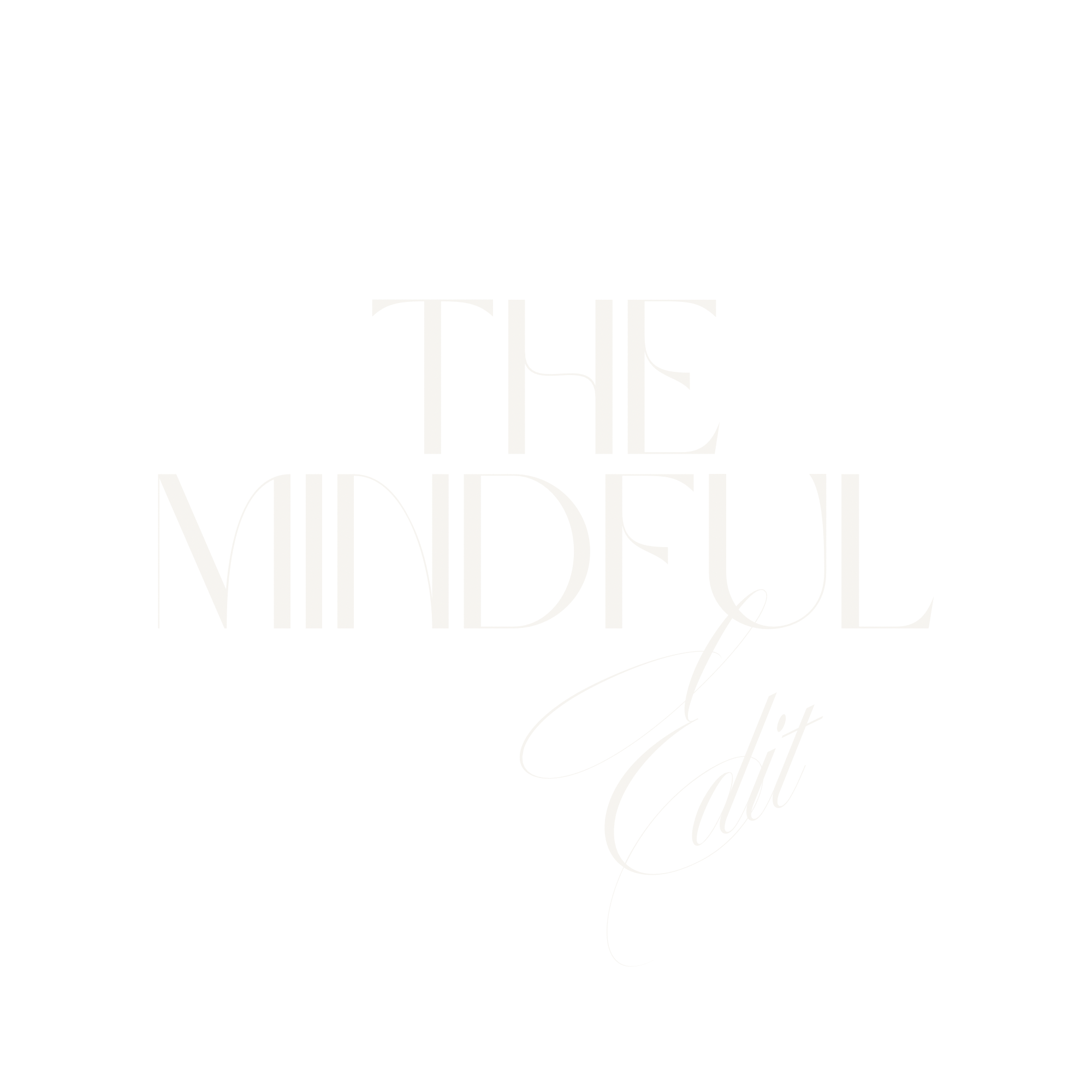 Text saying "The Mindful Edit" in elegant cursive font on an ivory background.