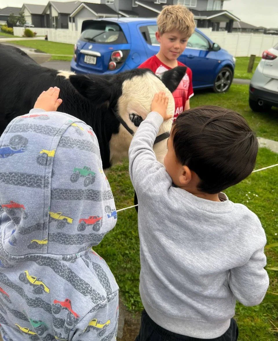 Children exploring real-life experiences at The Village Early Learning Centre Pukekohe, connecting with nature and the wider community