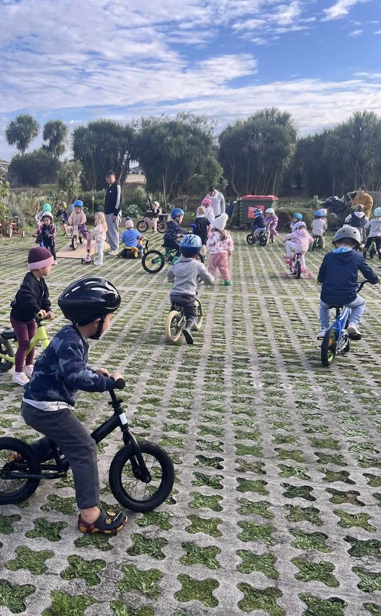 Children learning to ride bicycles outdoors in a grassy park with trees and blue sky.