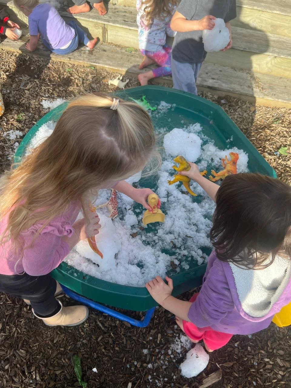 Two young girls playing with toy dinosaurs in a sensory bin filled with snow outdoors, surrounded by other children on a wooden platform.