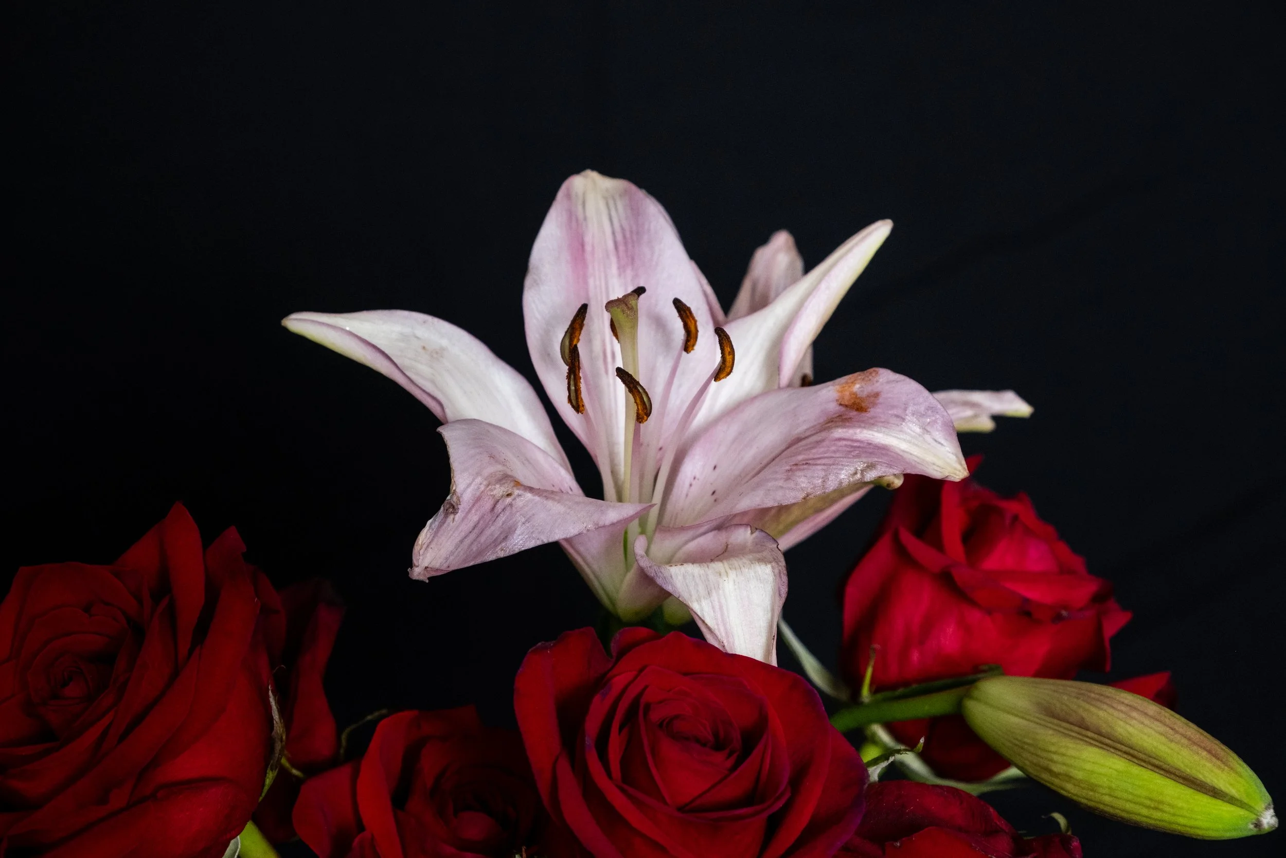 The Language of Flowers