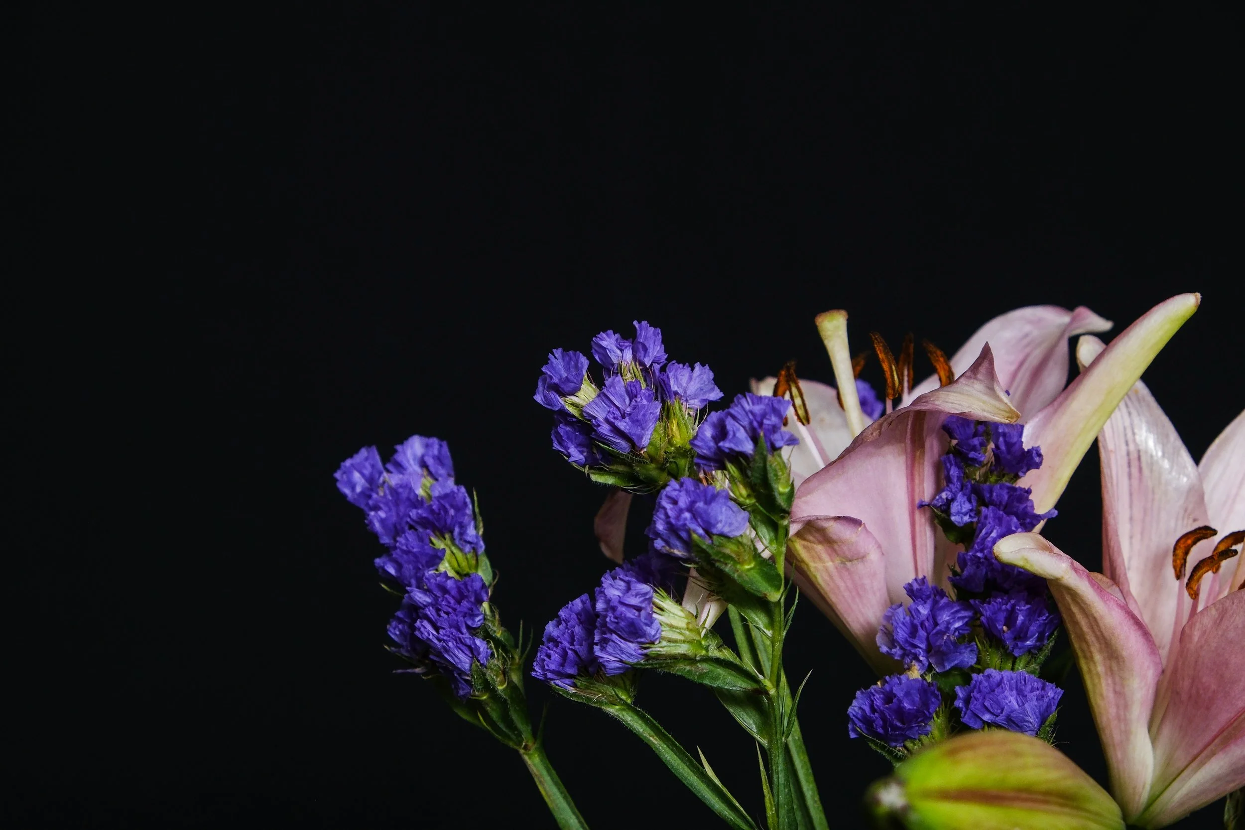 (Lilies and Hyssops)

It is not that the destruction ended
the story.
But rooted itself so deep, a daunting
beauty beauty began to rise.