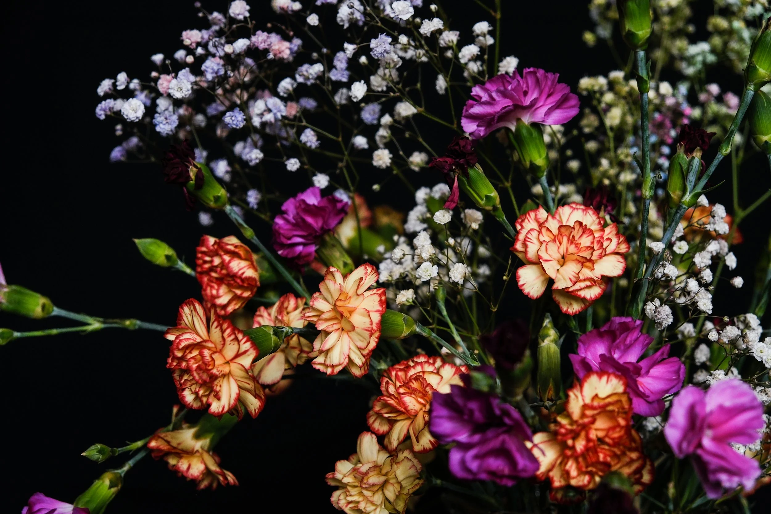 (Carnations and Baby's Breath)

Clear and cutting,
your silence rings in my ear like the cold.
White and pure in its gentality.
Soft and piercing in its kindness. 
