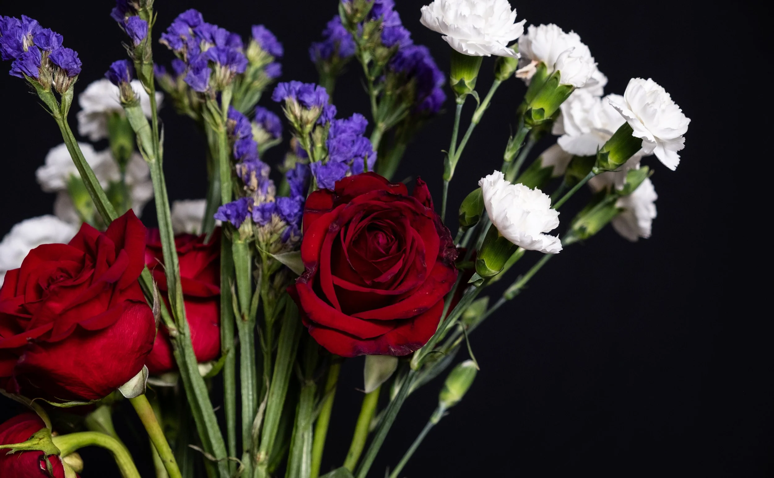 (Carnations, Roses, and Hyssops)

My love–
beyond the ruin of bone and bloom. 
We will meet again, in the chill of the 
passing moons. 
As our voices meet in the dead of night.
