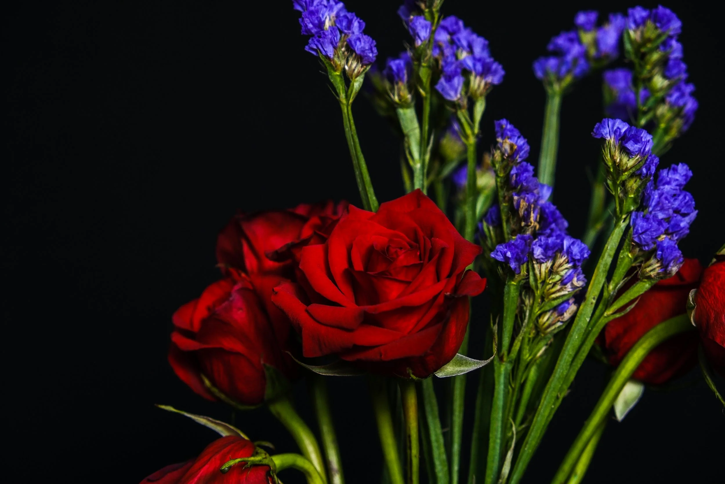 (Roses and Hyssops)

Here the decay cannot follow. 
Here the darkness is only the path,
the door.
And the love is what remains.
Patient as the tide, endless as the sky turning.