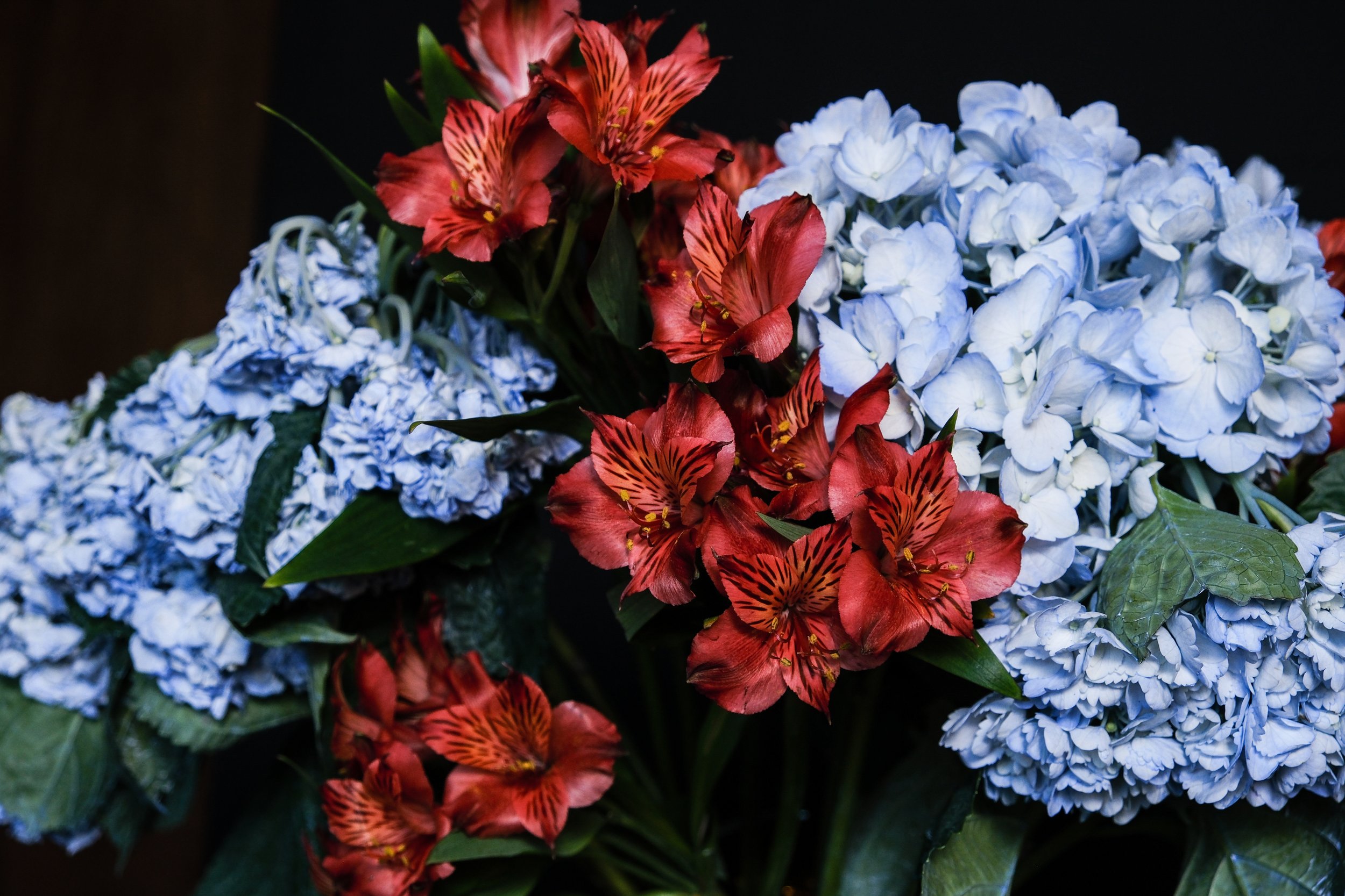 (Hydrangeas and Amaryllis)

Vivid and bright,
His terrible eyes scorched with hunger.
“You need me,” he said.
Certain, Absolute
I fell,
burned.