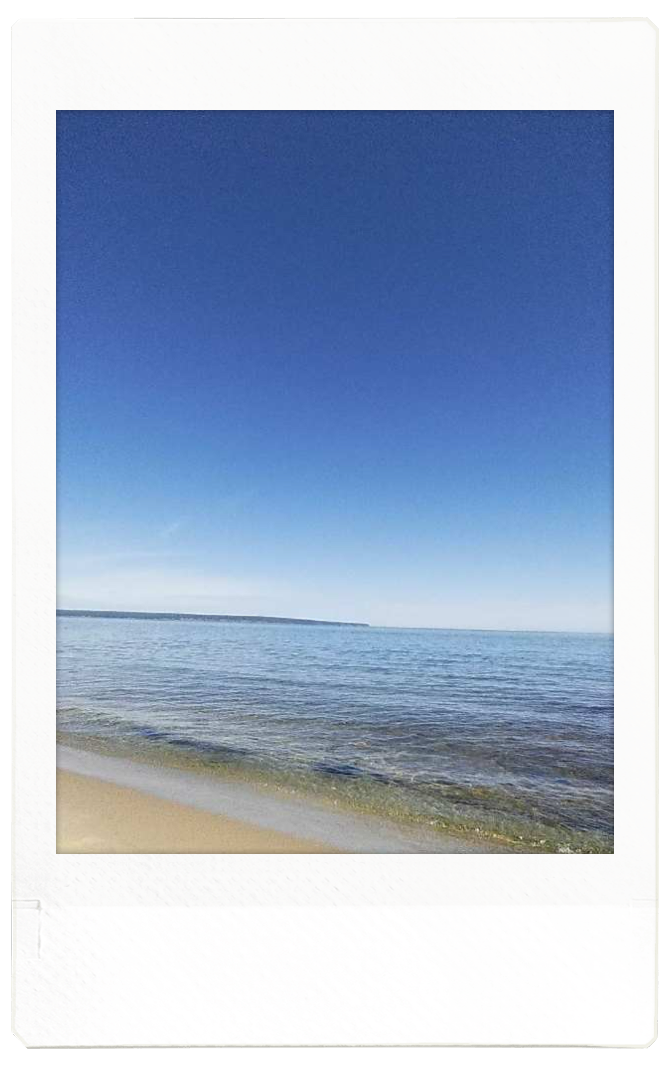 Polaroid 21