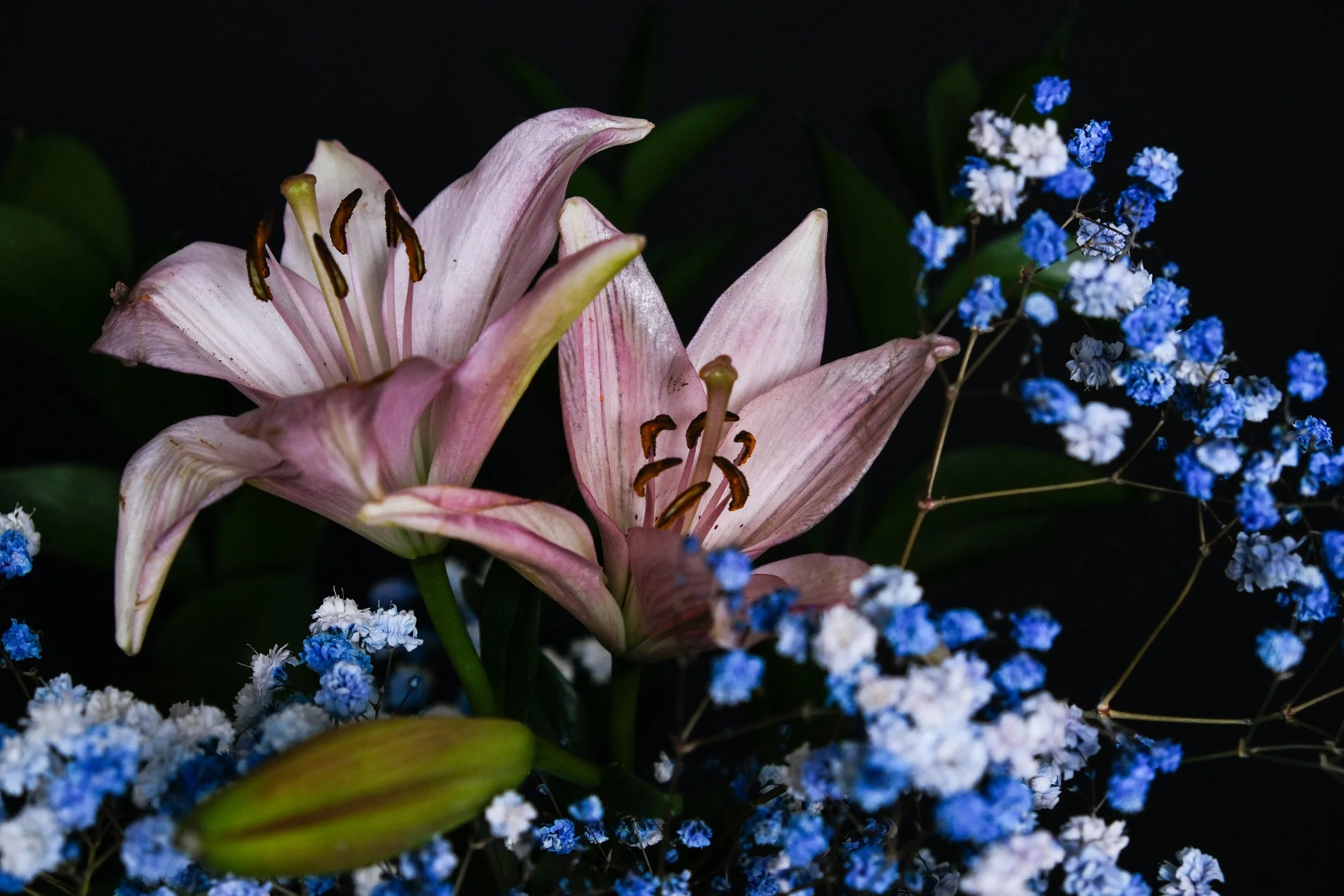 (Baby's Breath and Lilies)

You are the rain that knows when to fall.
Pure and clear a quiet mercy, from the bruised sky.
You slip through as a chill that burns deep
into bones.