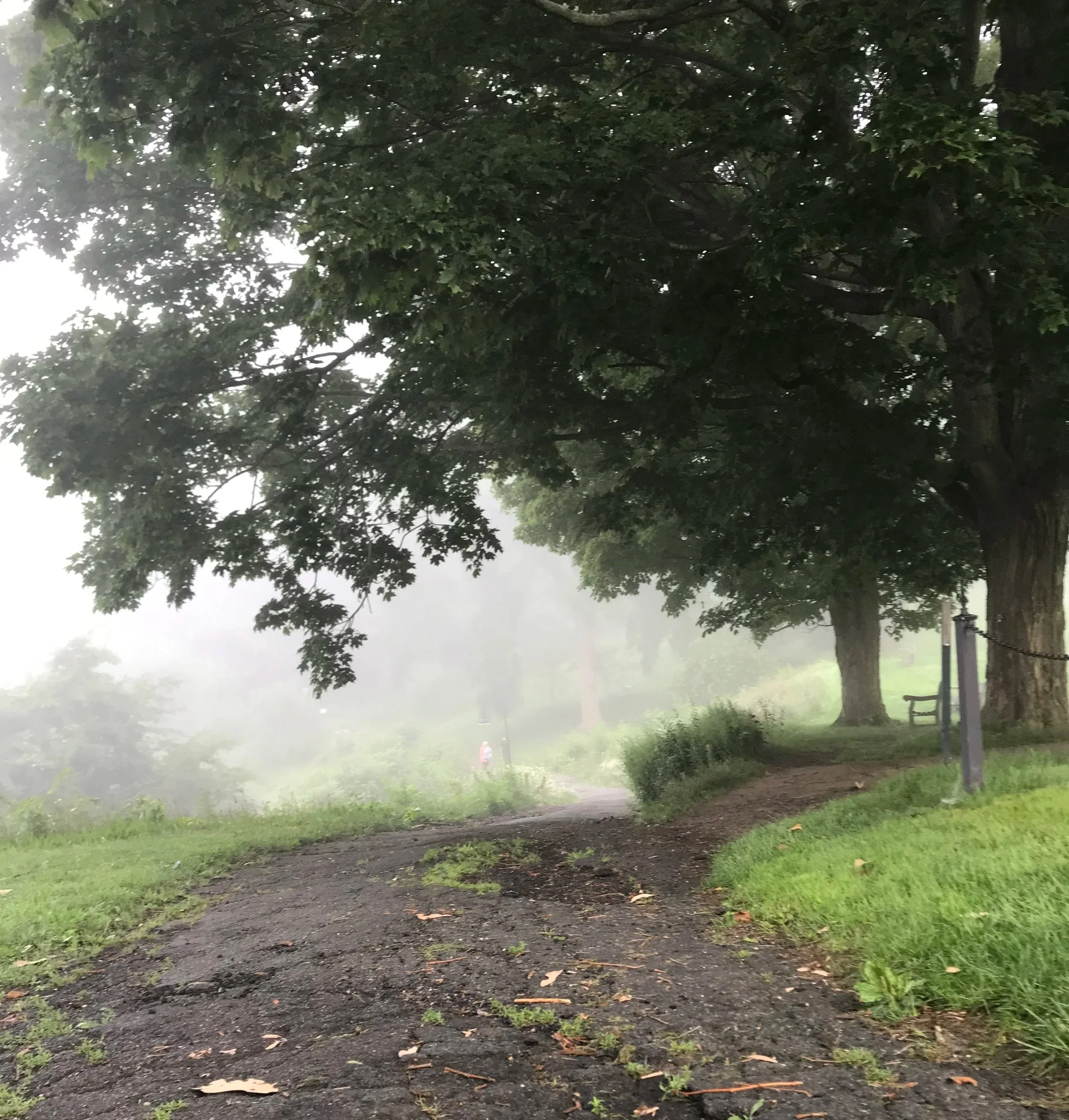 A park with dirt and grass walkway, surrounding green trees, and foggy or misty atmosphere.
