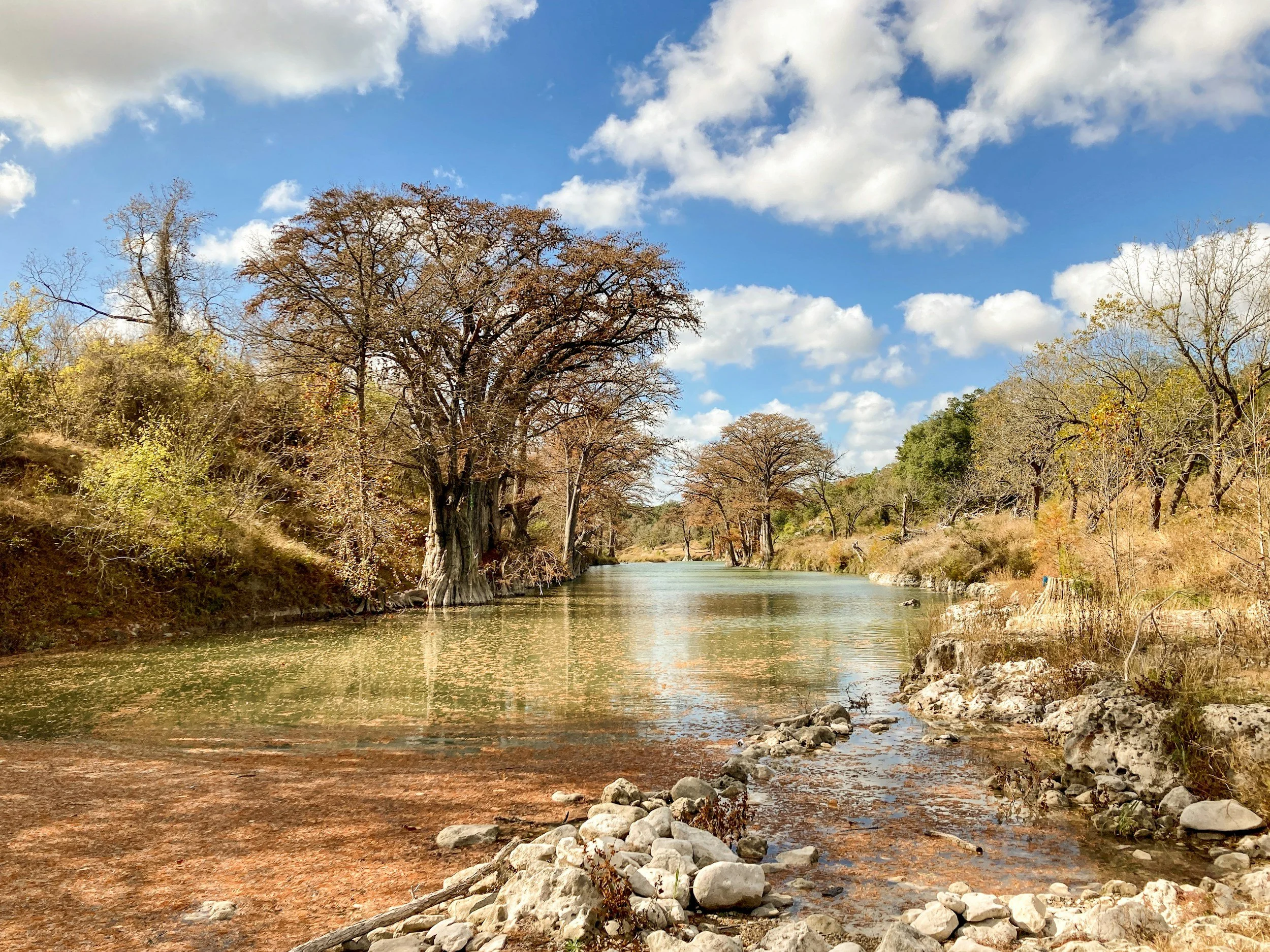 A peaceful river flowing through a forested area with trees showing autumn colors and a partly cloudy sky.