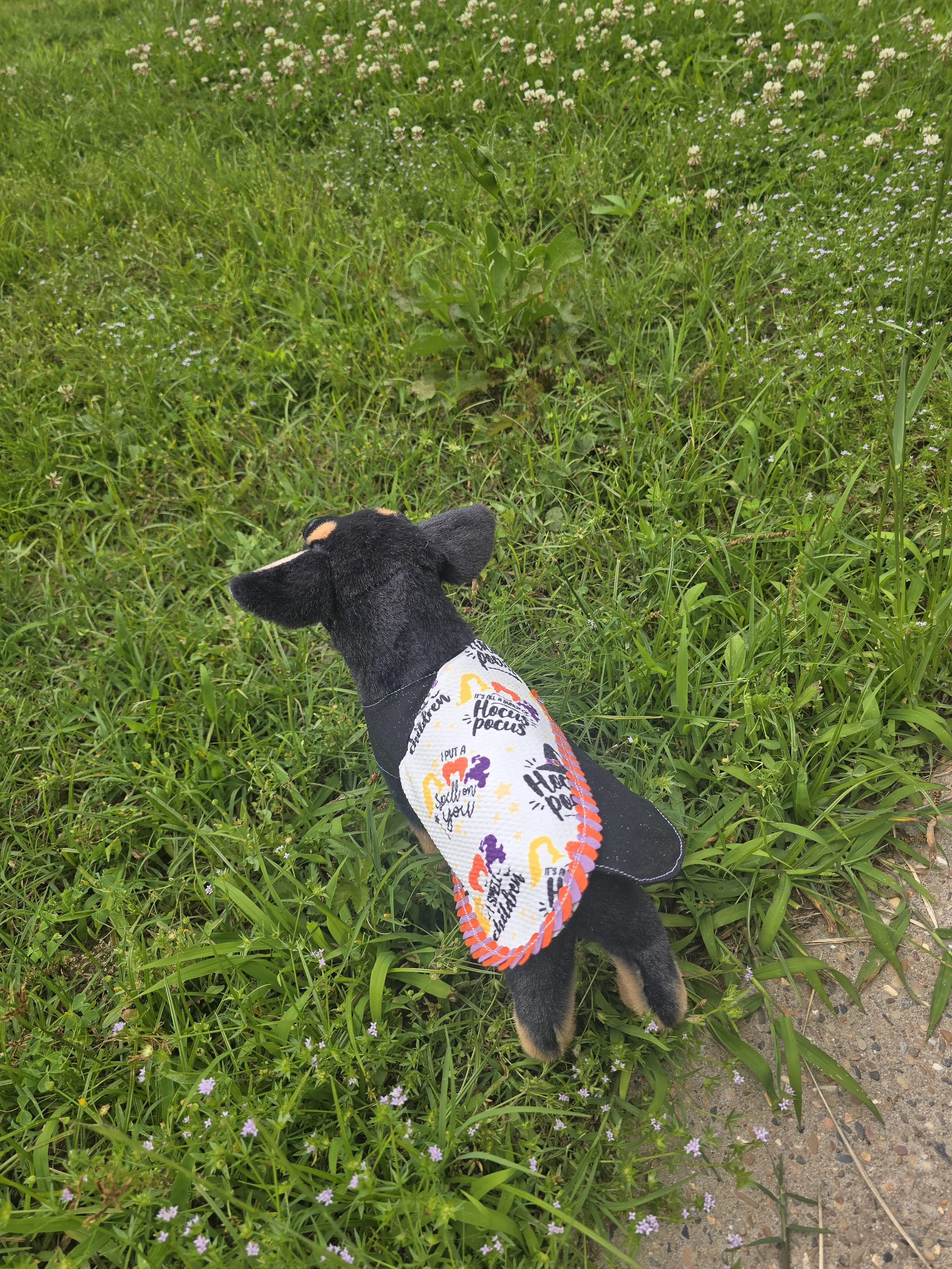 Hocus Pocus Halloween Dress for Pets (XXXS)