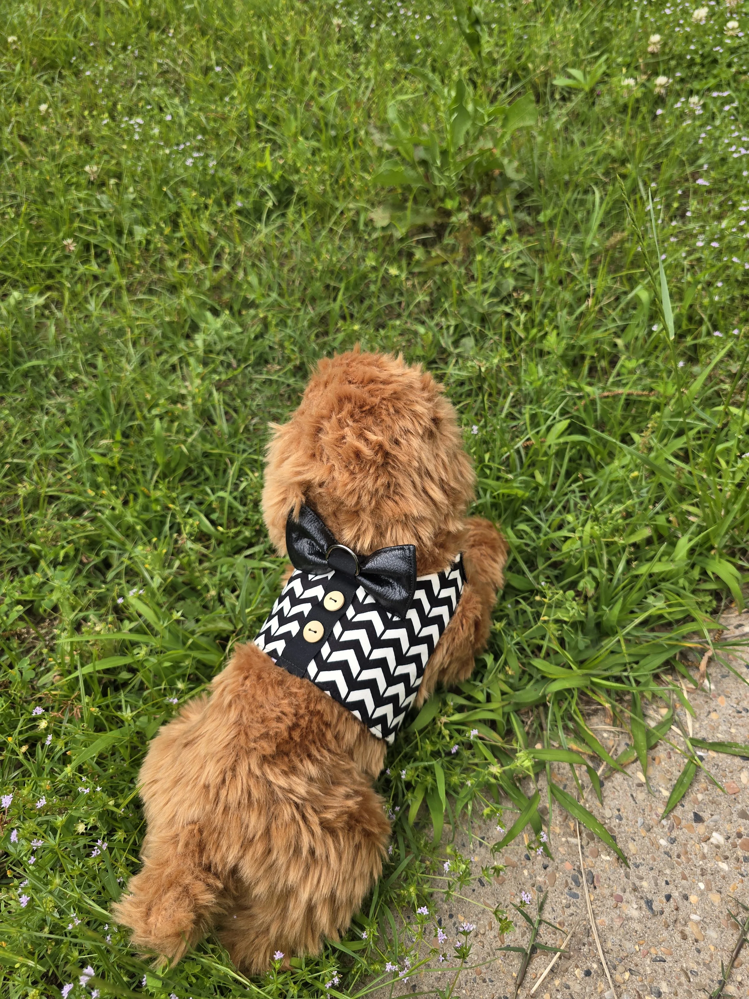Puppy Couture Black & White Bowtie Harness Vest - XXS
