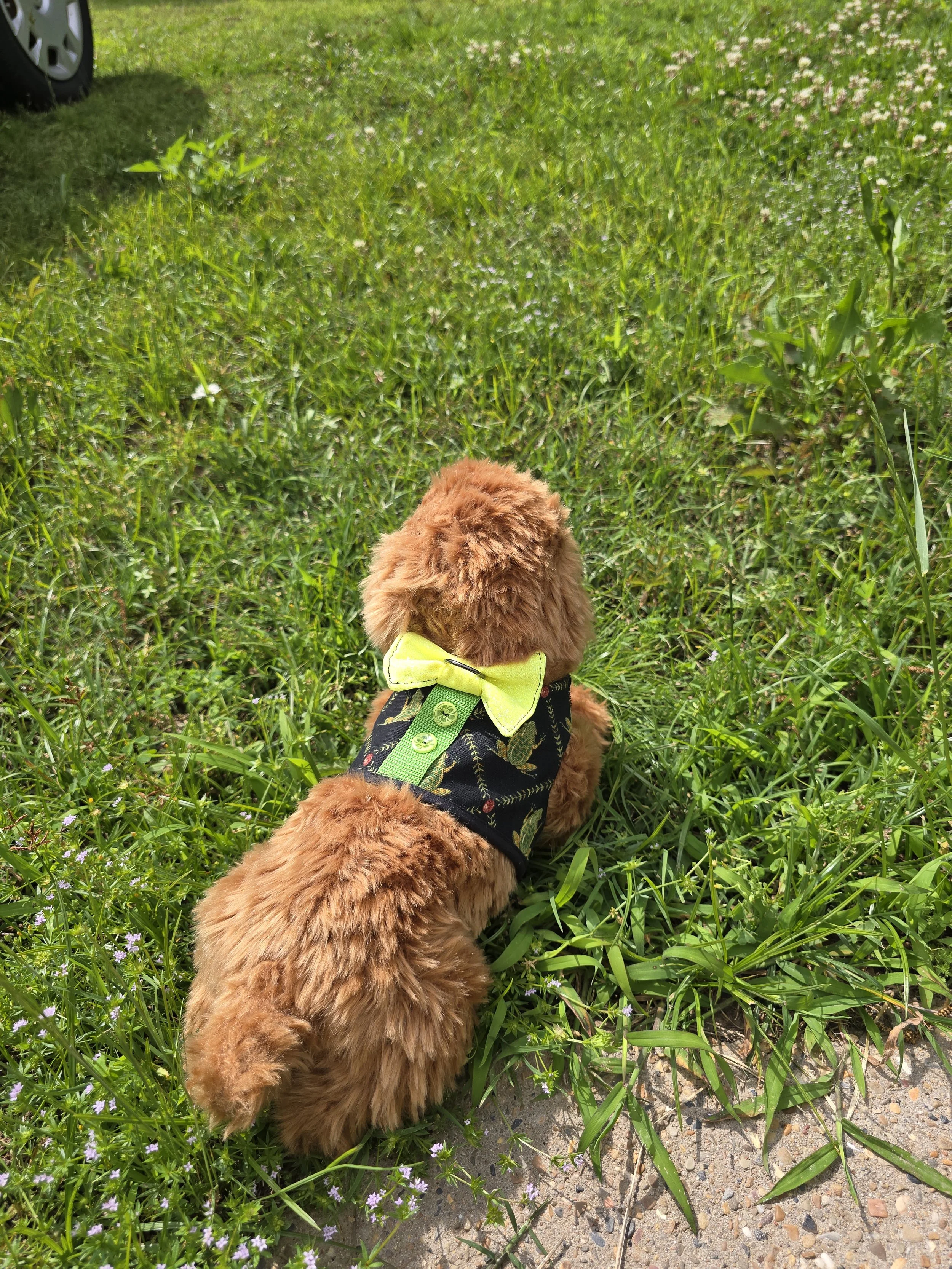 Pet Tuxedo Harness - Size XXS