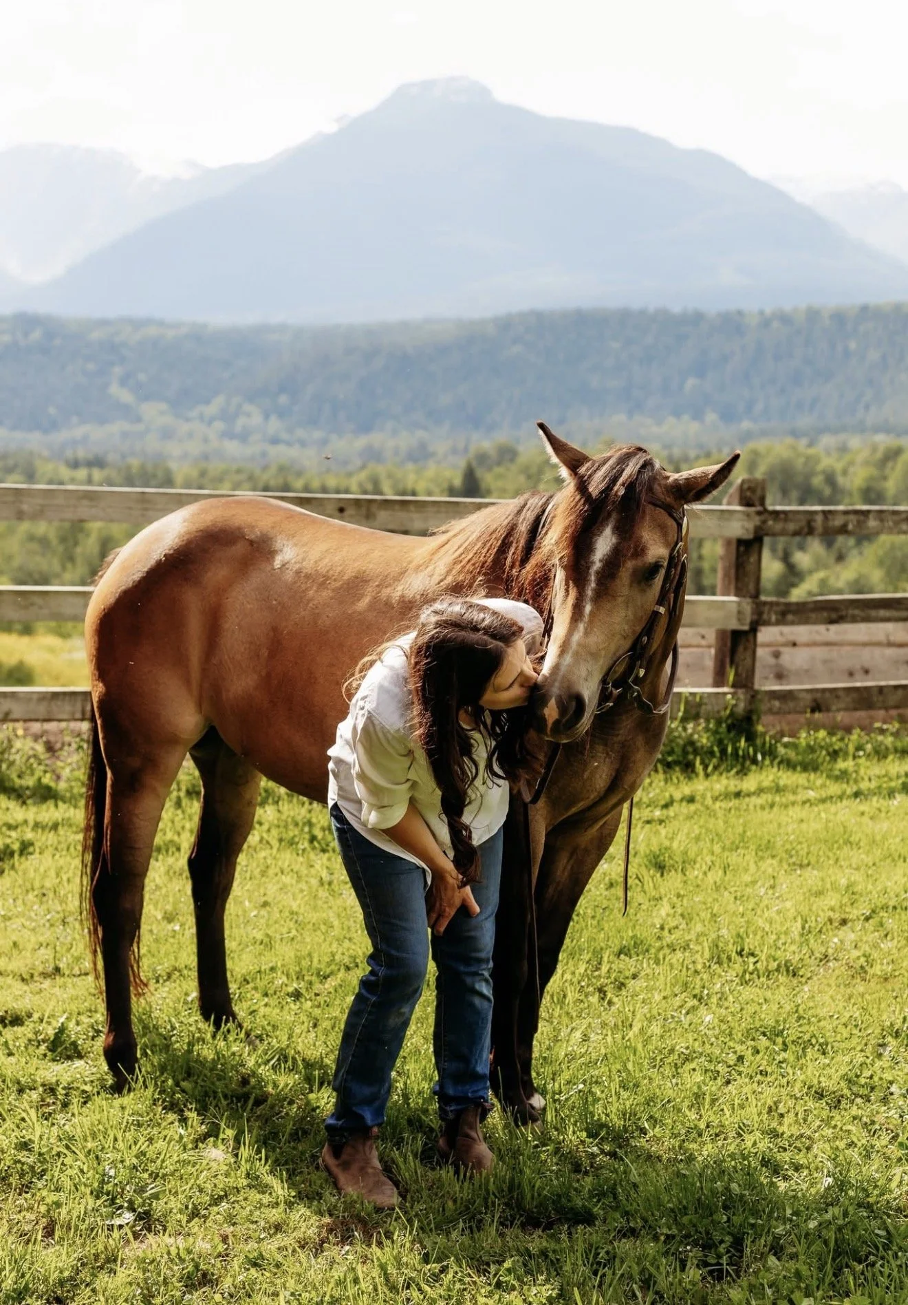 A woman kissing a brown horse in a grassy field, with mountains and a wooden fence in the background.