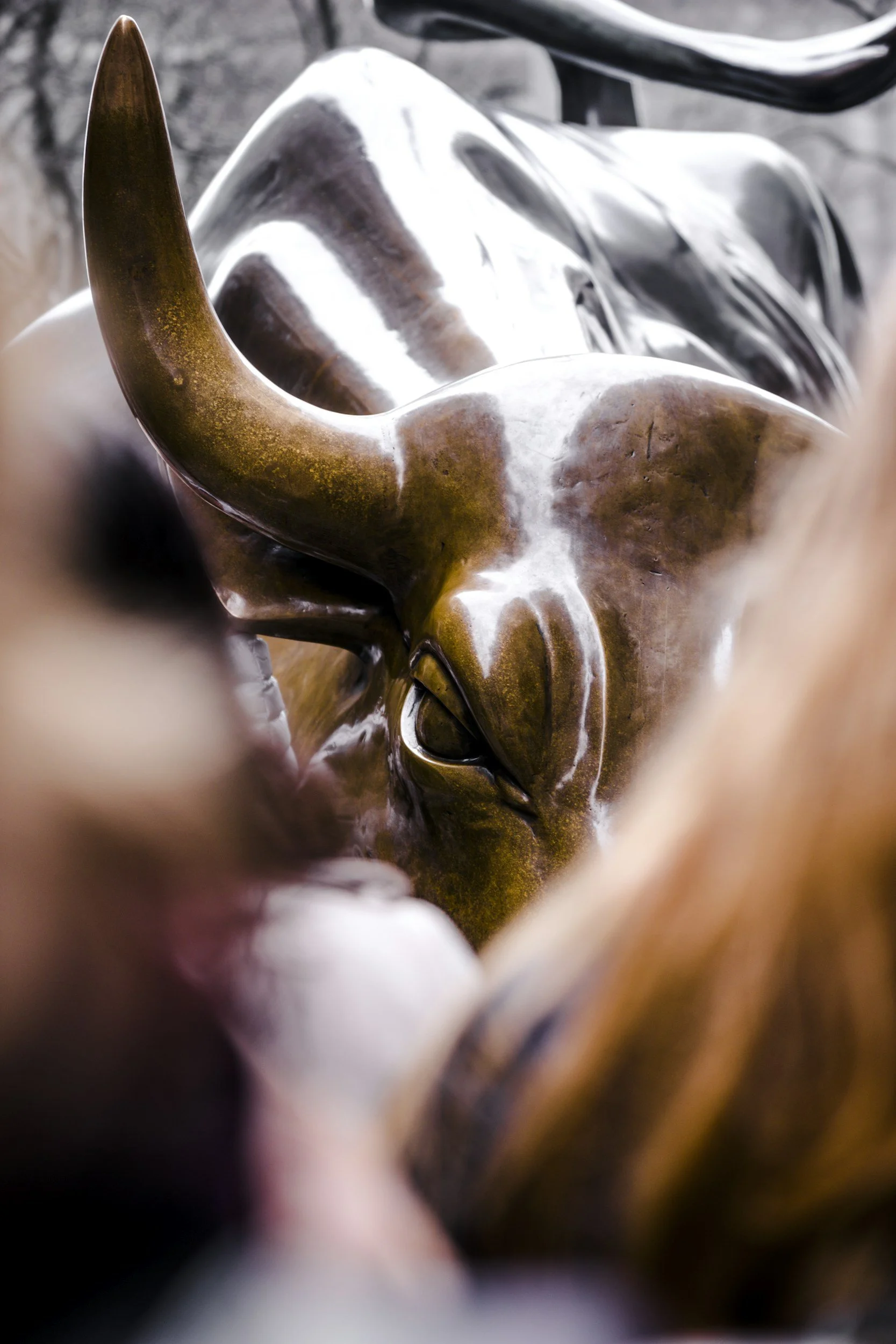 Close-up of a polished wooden sculpture of a bull's head with prominent horns.
