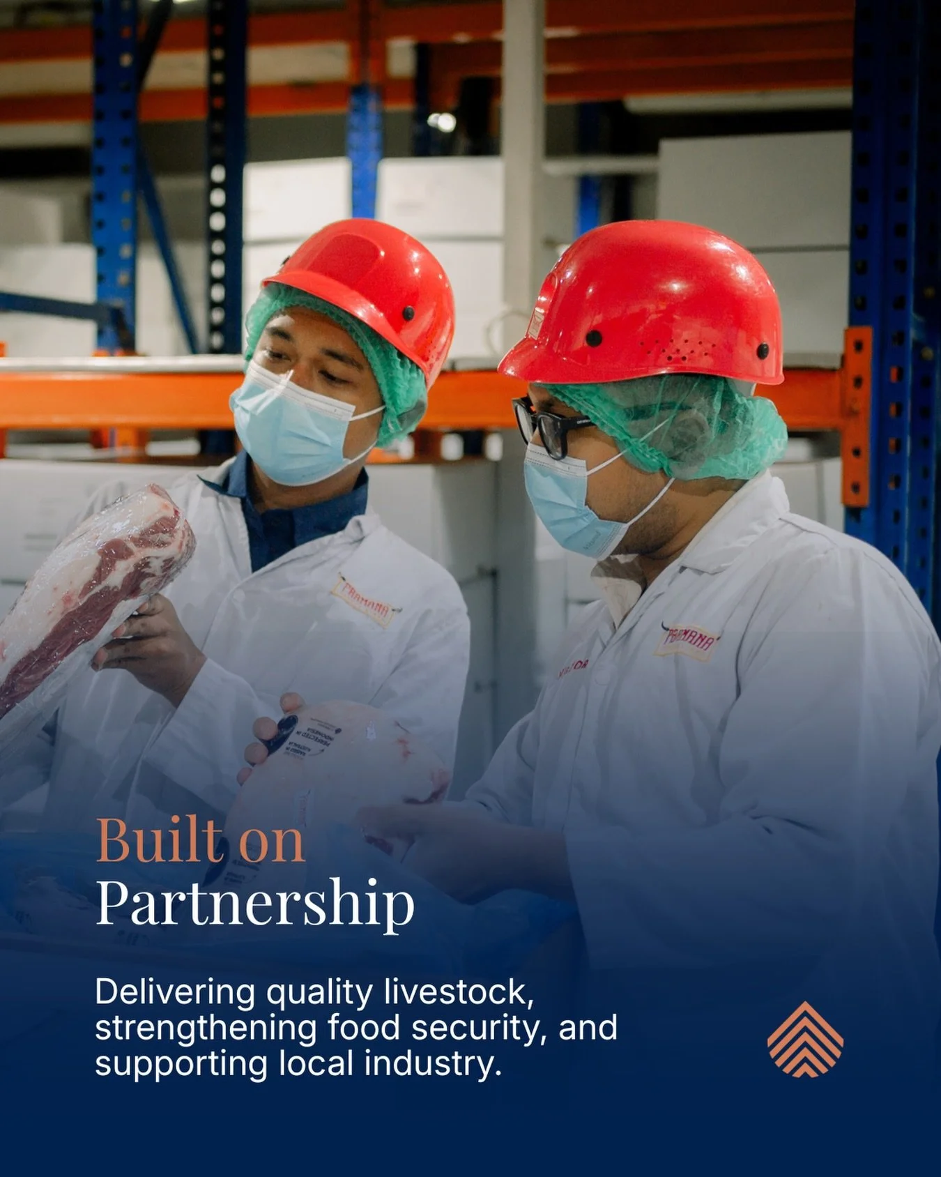 At ILO, we&rsquo;re built on partnership.

Working together across borders to strengthen food security, support local industry and deliver trusted beef for Indonesia.

Get in contact: jack.webb@aamig.com.au