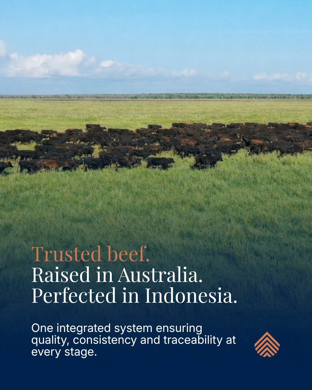 Trusted beef. Raised in Australia. Perfected in Indonesia.
One integrated supply chain delivering quality, consistency and confidence at every stage.