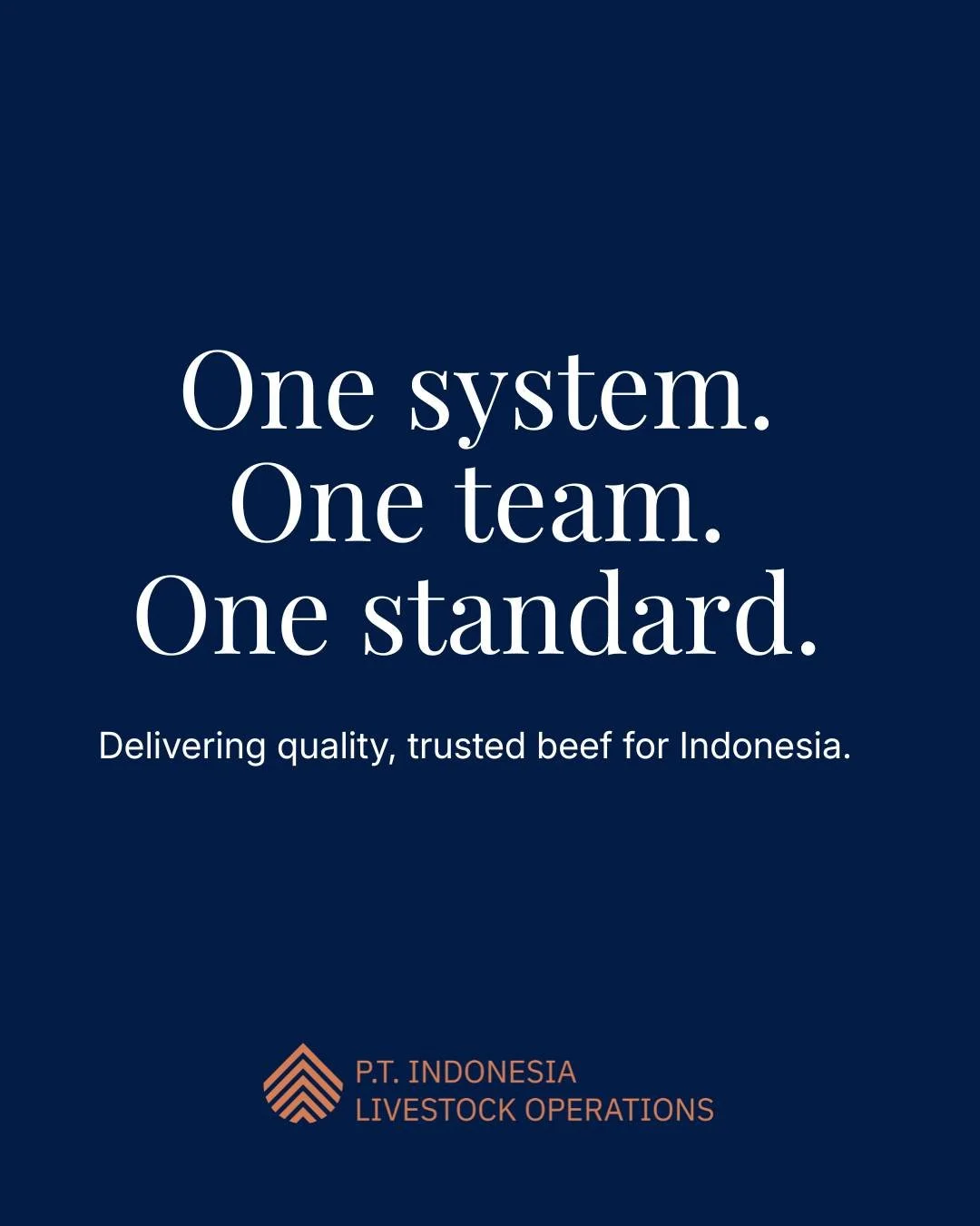 One system. One team. One standard.
A connected supply chain built to deliver premium beef with consistency and care.