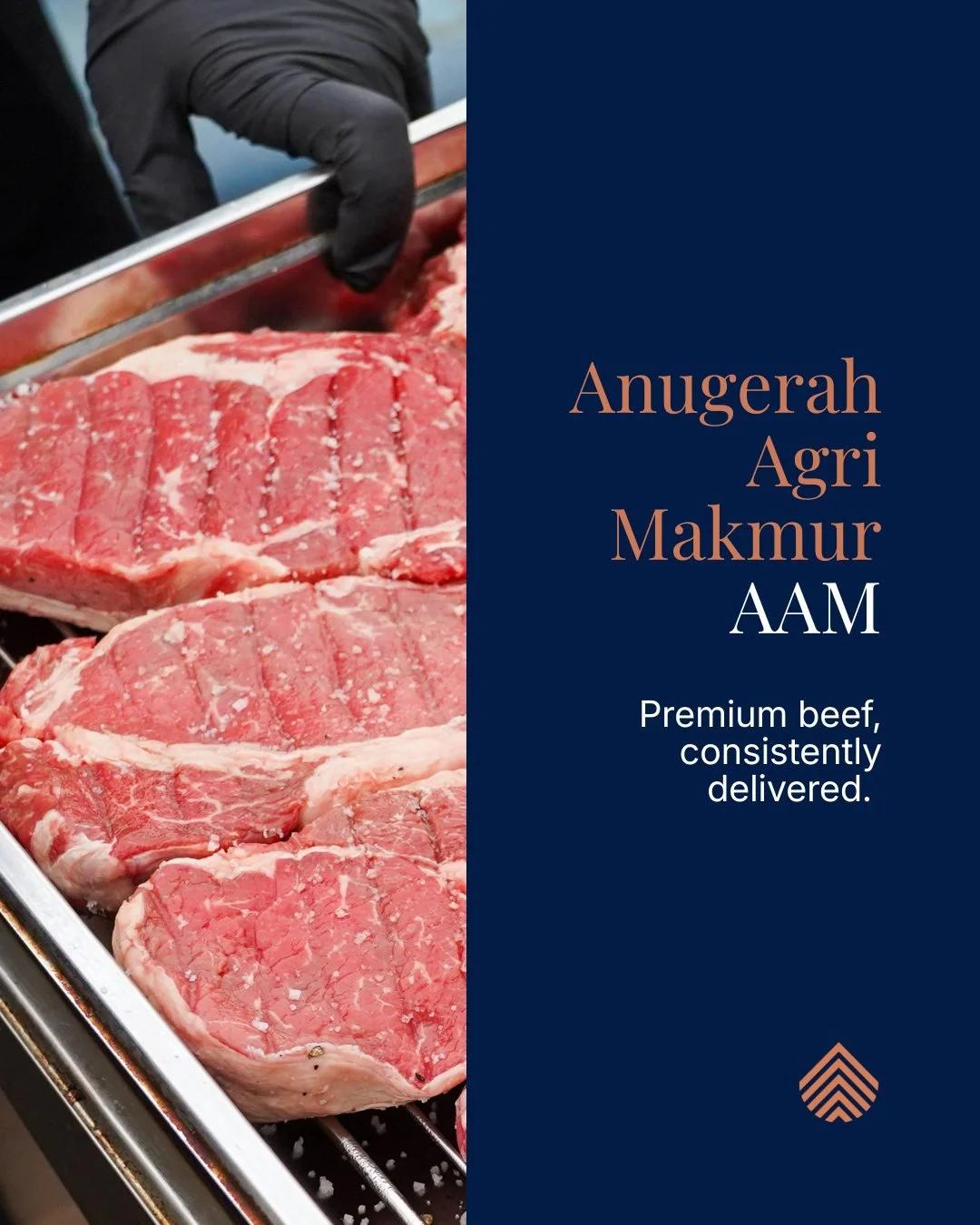 Anugerah Agri Makmur (AAM)
Premium beef, backed by one connected supply chain from Australia to Indonesia.