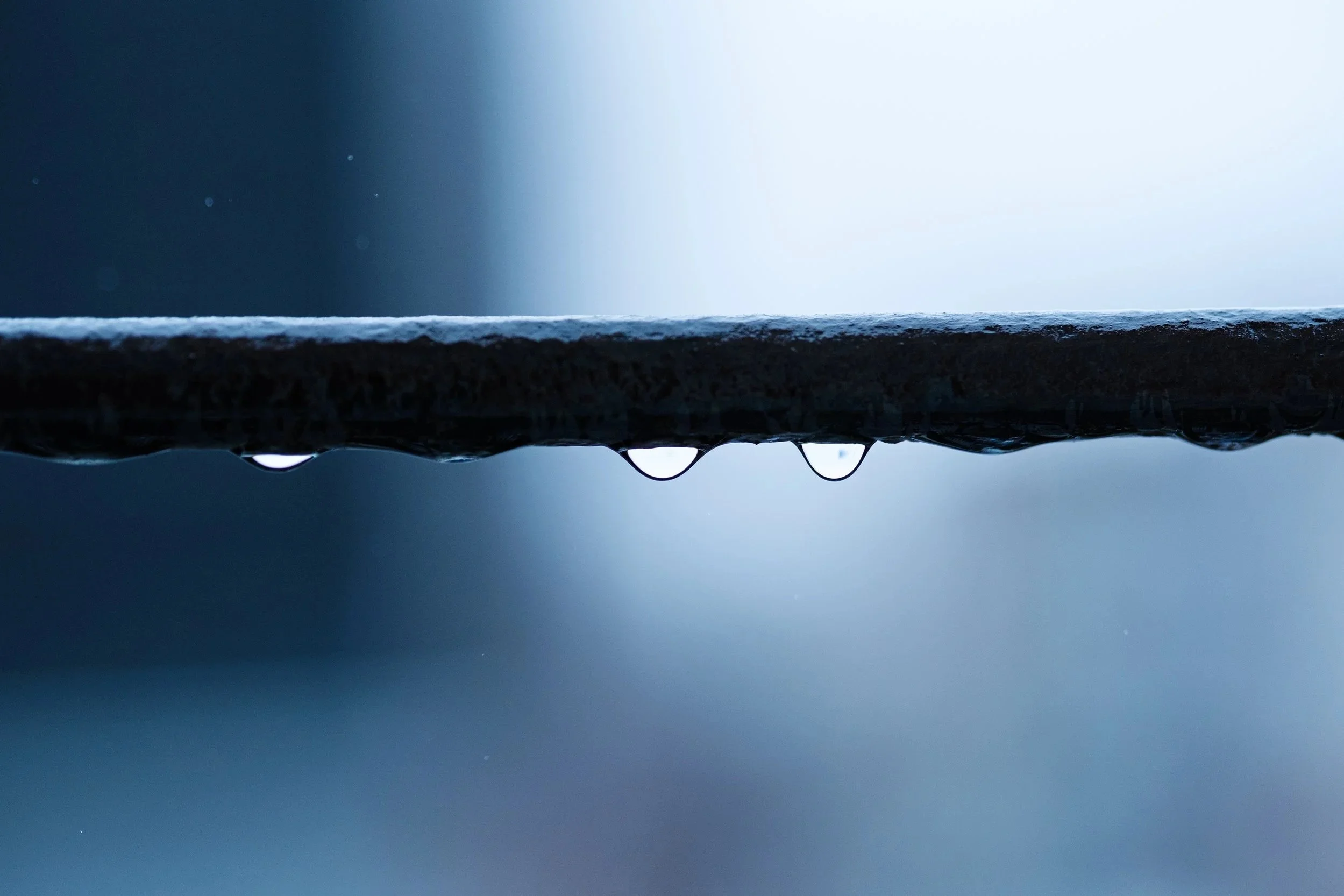 Wabi+Sabi_DSF0028.jpg