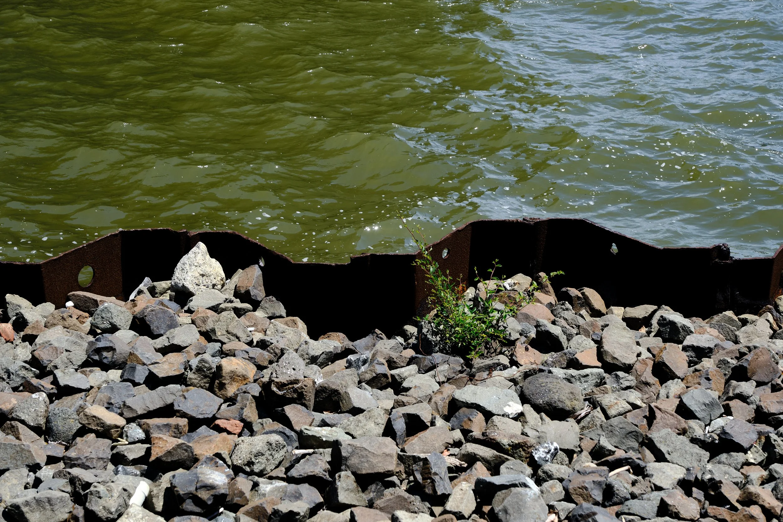photowalk_015.jpg