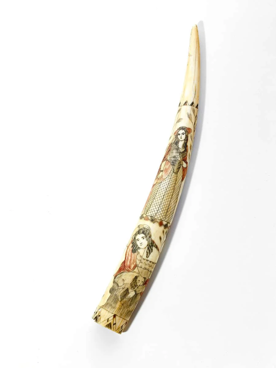 scrimshaw_A.jpg