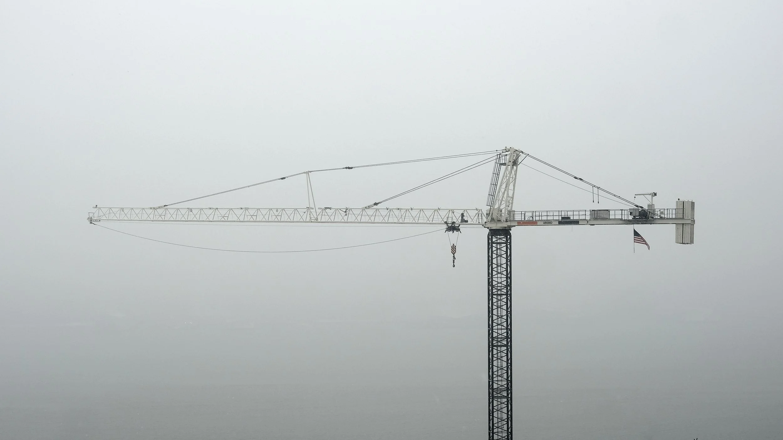 Crane_DSF0224_crp.jpg
