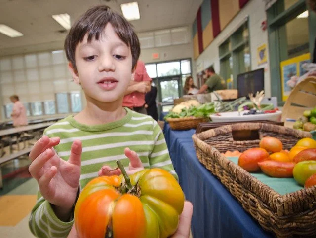 A young boy in a green striped shirt holding a large tomato at a farmer's market or indoor market, with baskets of various tomatoes and vegetables on a blue tablecloth in the background.
