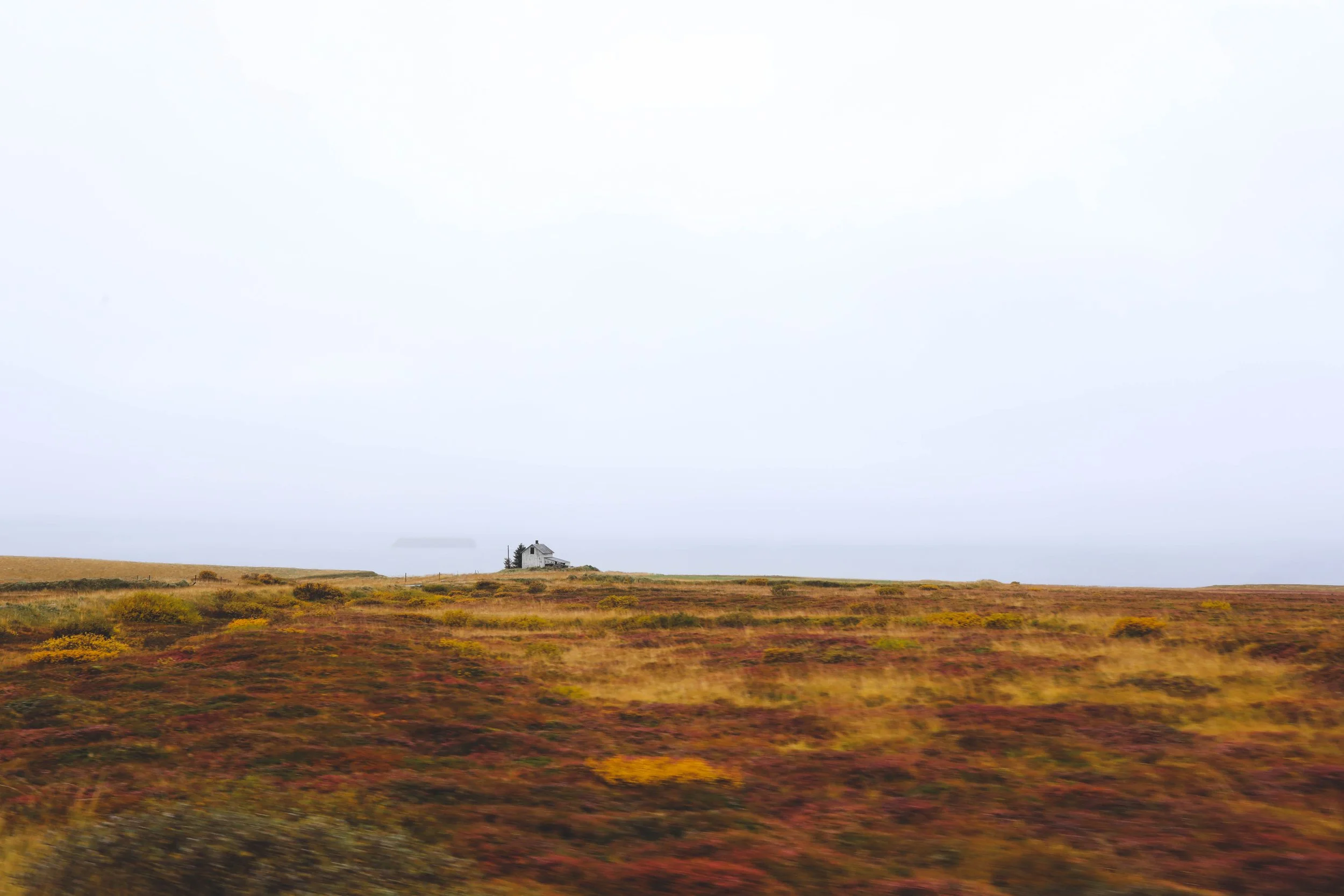 house in a field copy.jpg