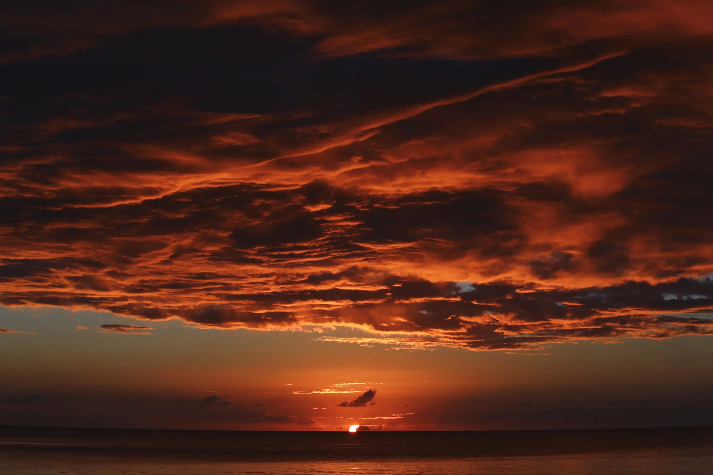 Ablaze 2.jpg