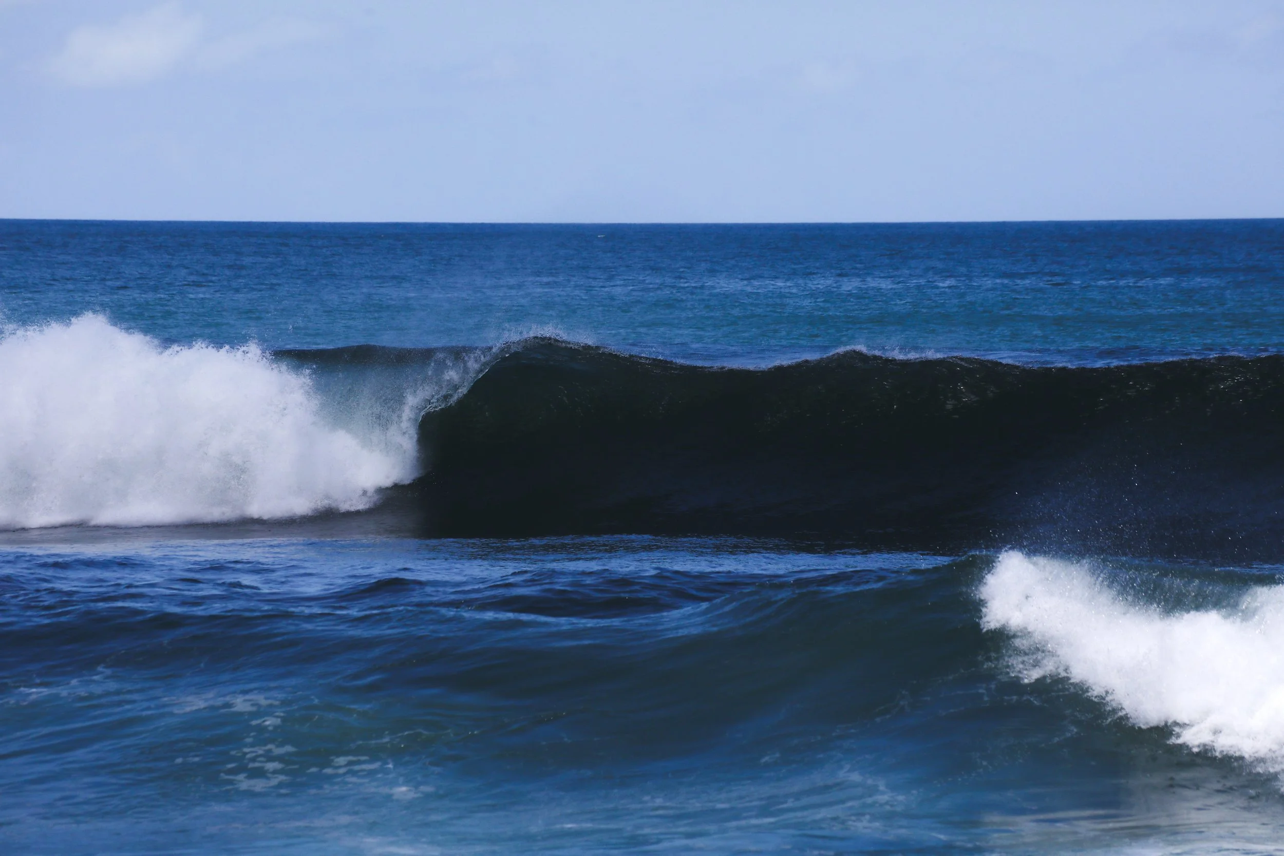 Wave.jpg