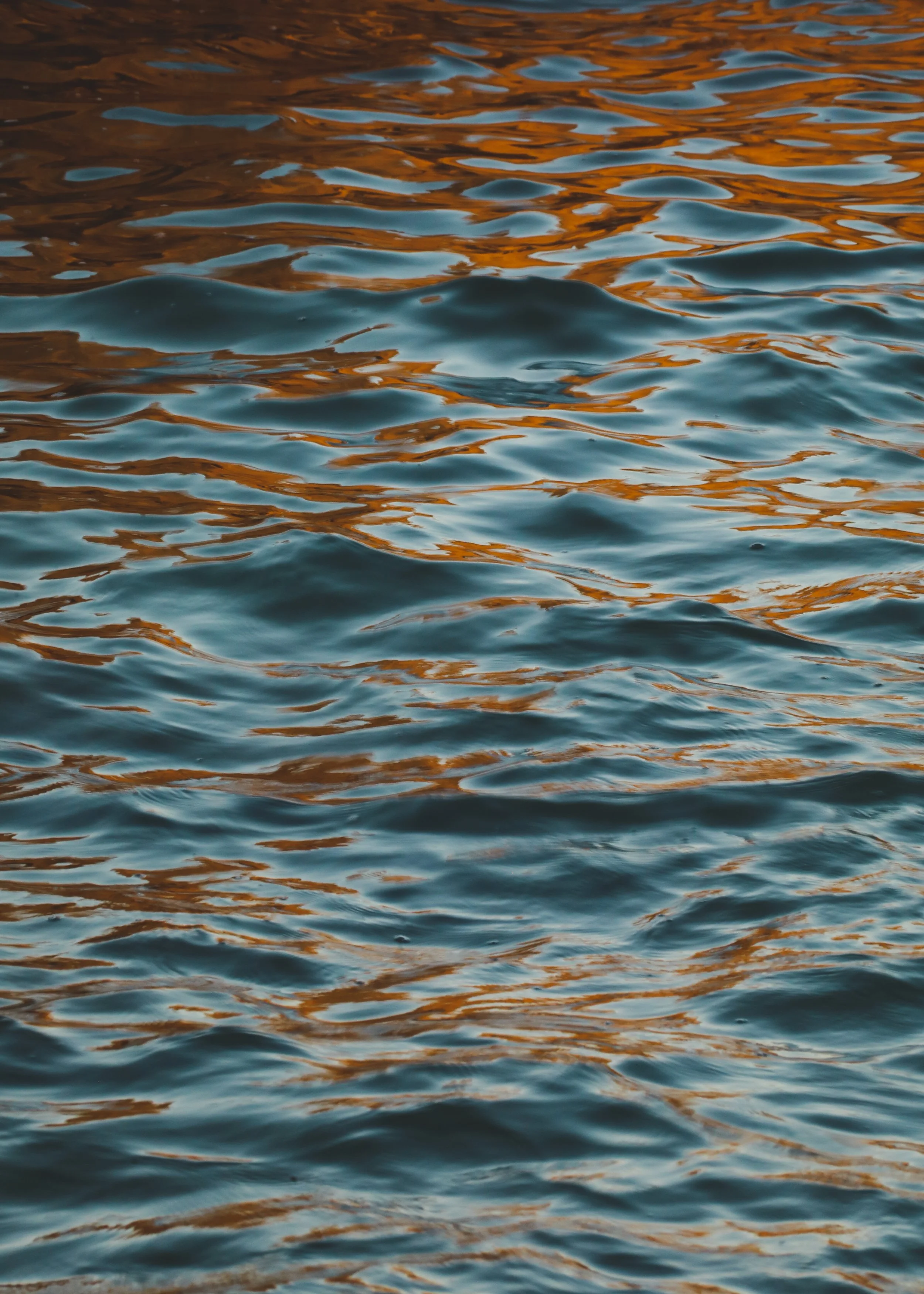 Orange Reflections.jpg