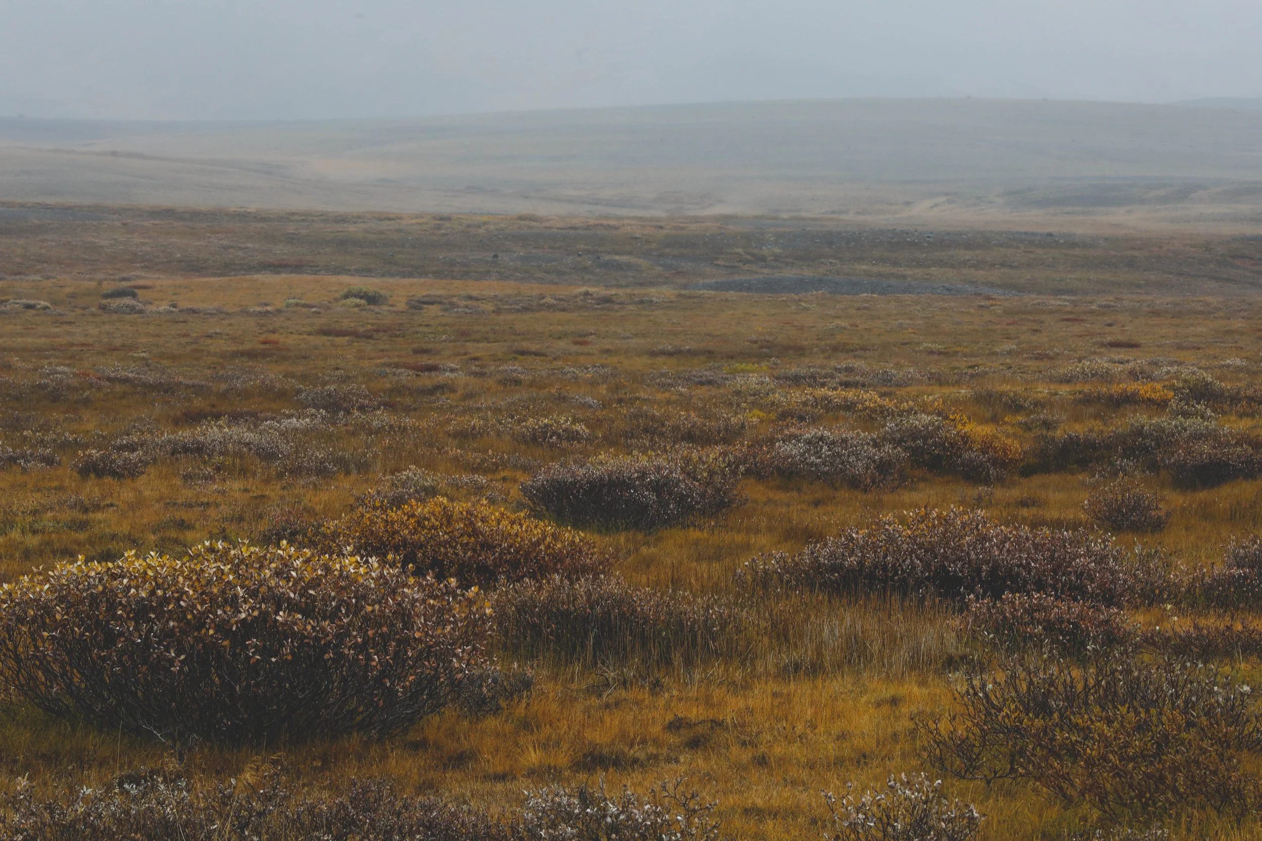 field gold.jpg