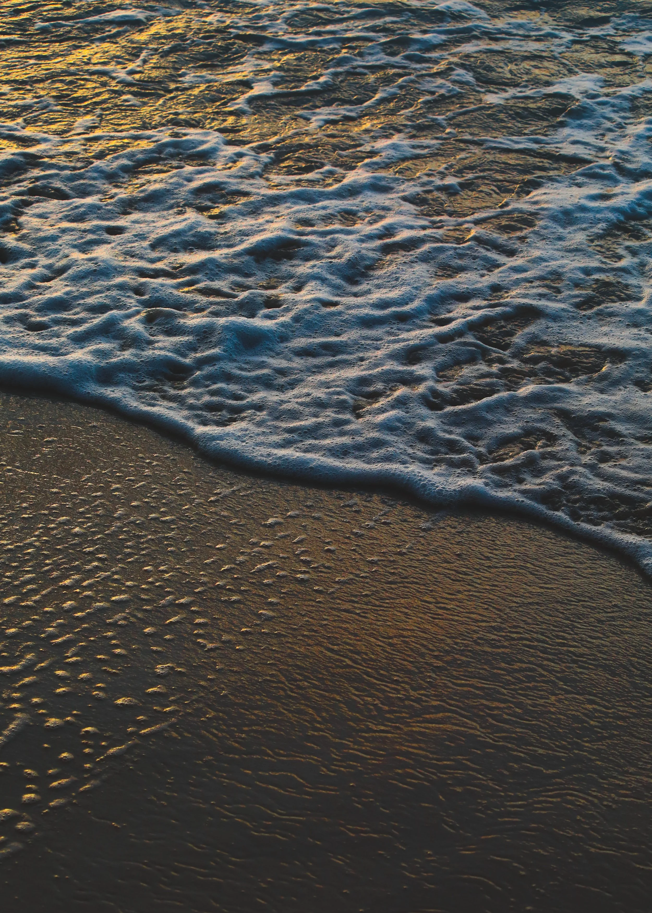 Golden Light.jpg