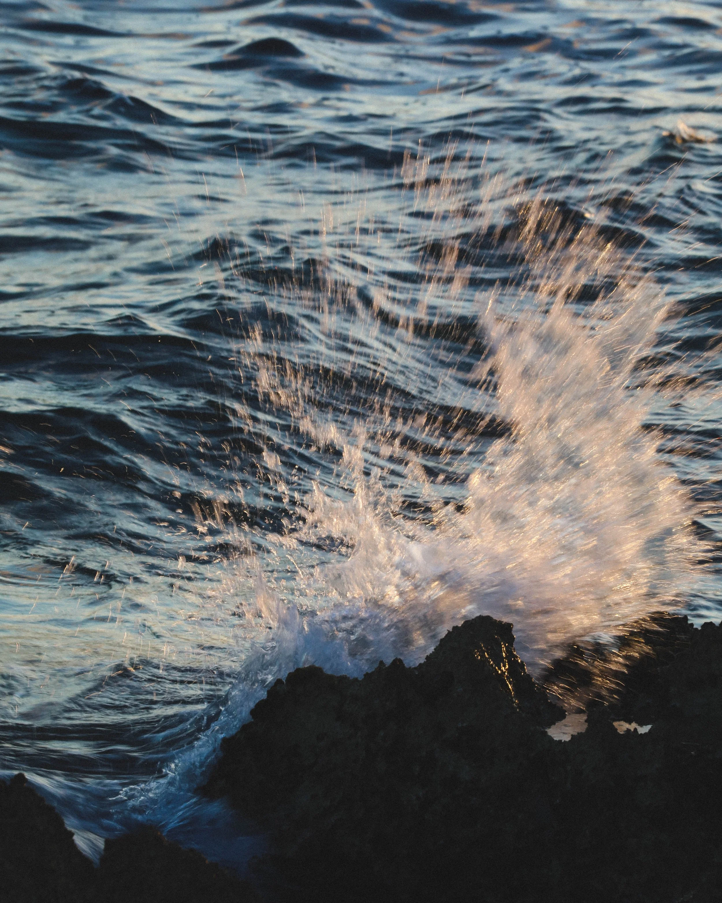splash 3 copy.jpg