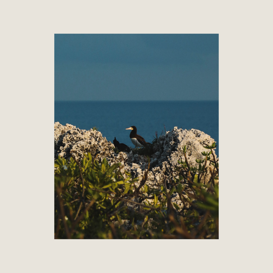 Life On the Edge
