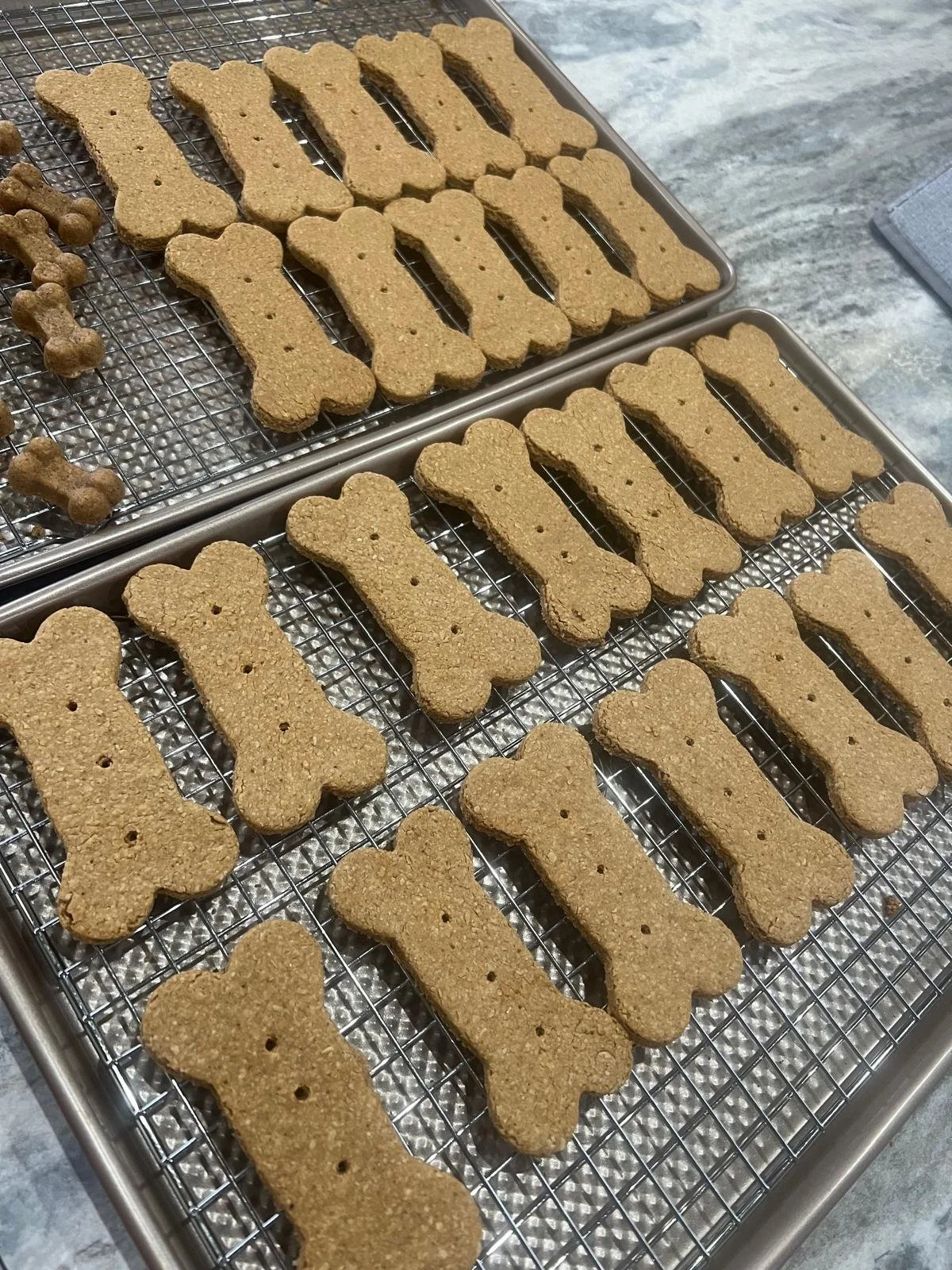 Oat & Peanut Butter