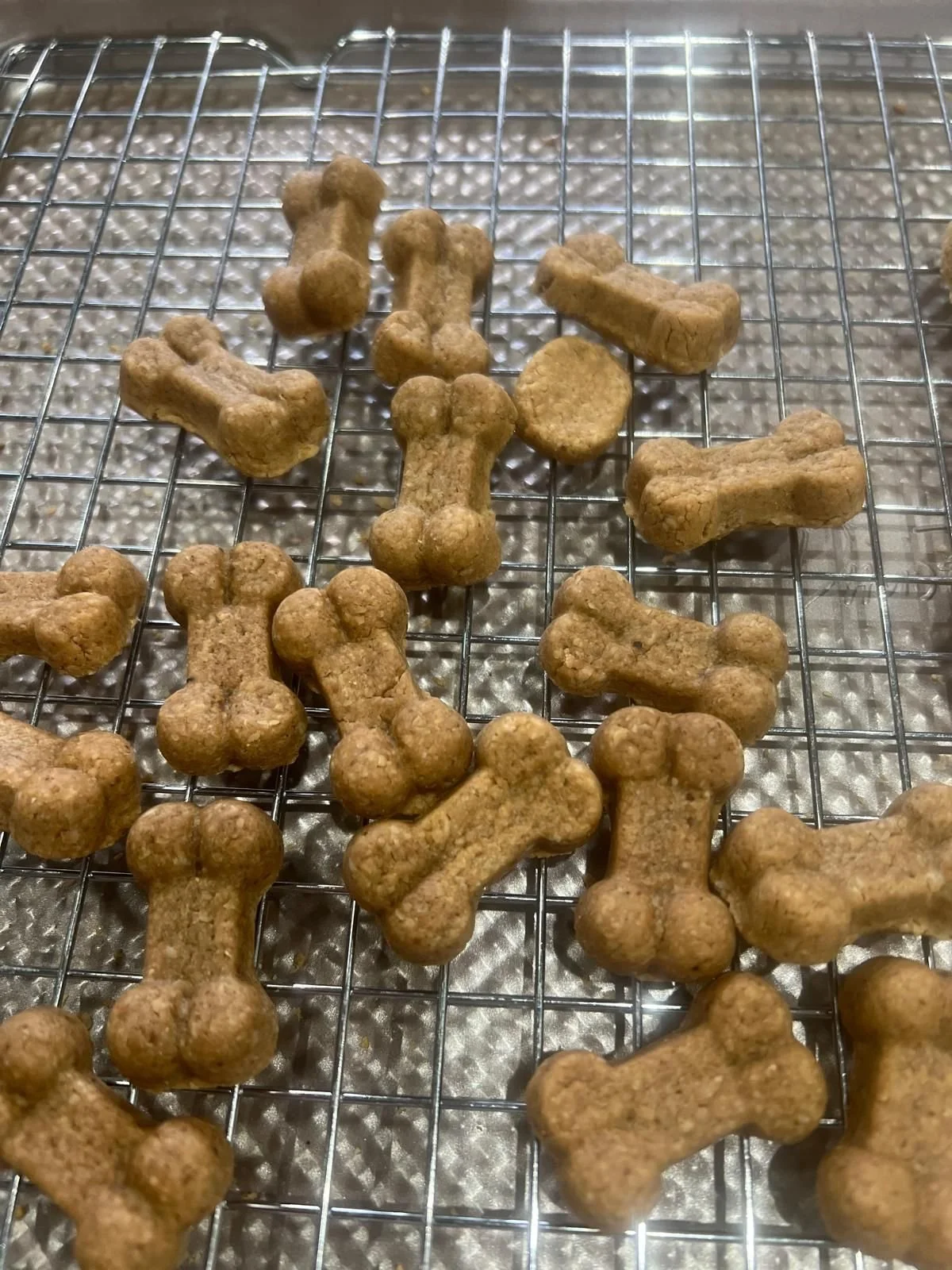OAtPeanutBannanaButter.jpeg