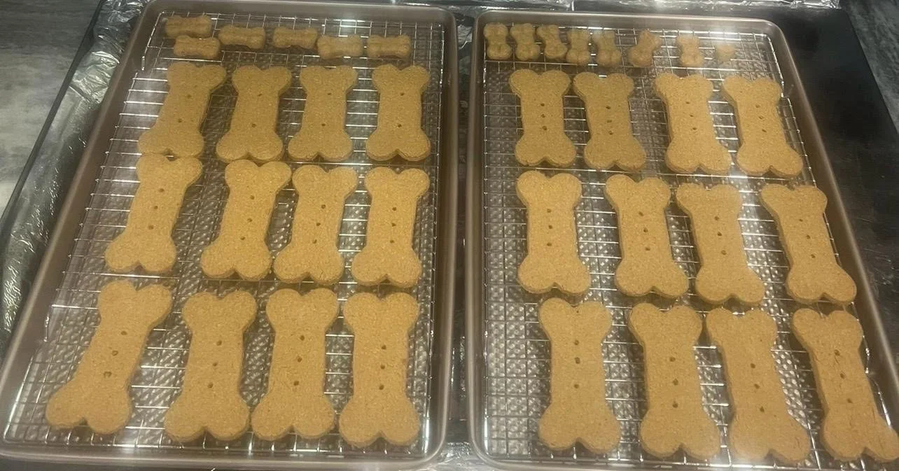 Two baking sheets with dog bone-shaped cookies cooling on wire racks. The cookies are golden-brown and some are shaped like smaller bones.