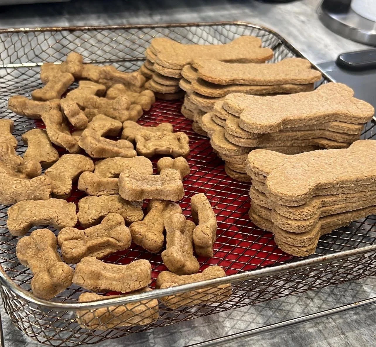 A wire baking rack holding cookies in the shapes of bones and small dog bones, resting on a oven-safe surface.