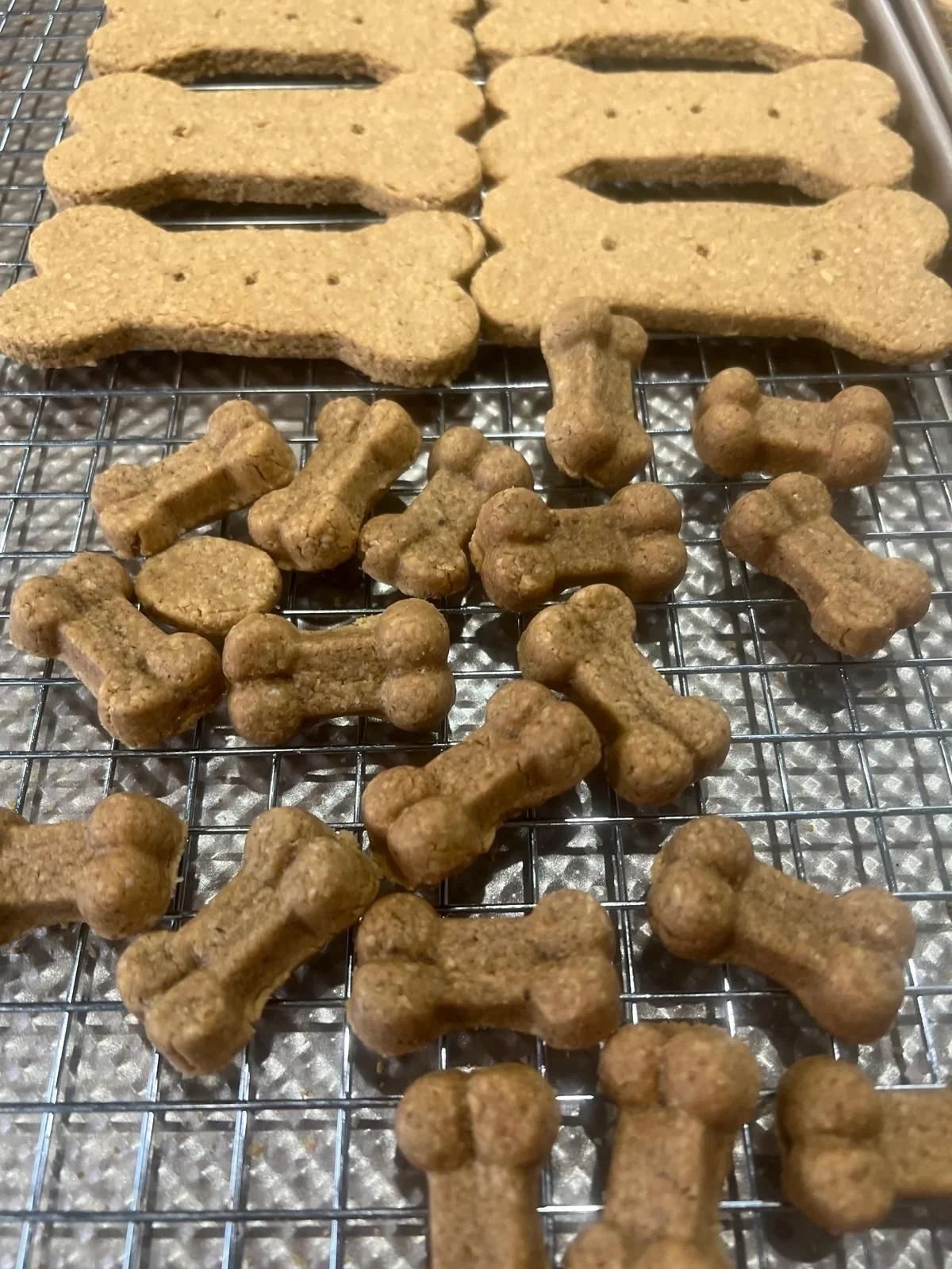 BigBoneOatAndPeanutButter.jpeg
