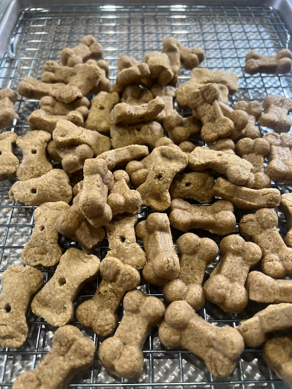 Dog treats shaped like bones cooling on a wire rack.