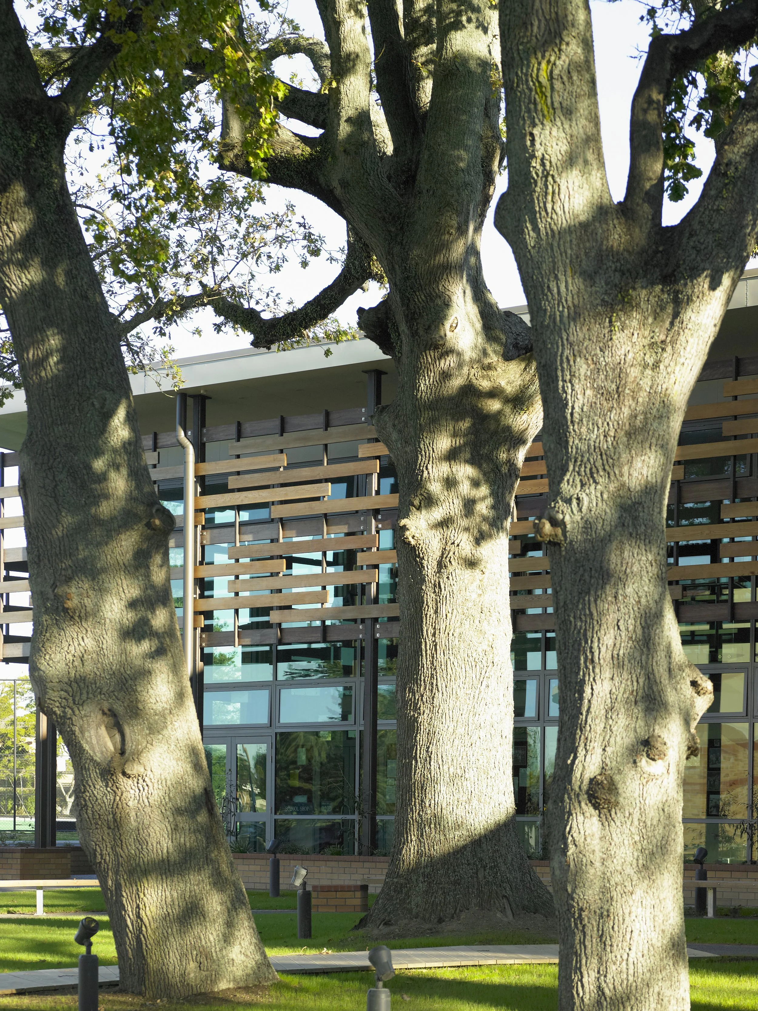 Waikato Diocesan School for Girls Hamilton PAUA Architects Sports Education Centre