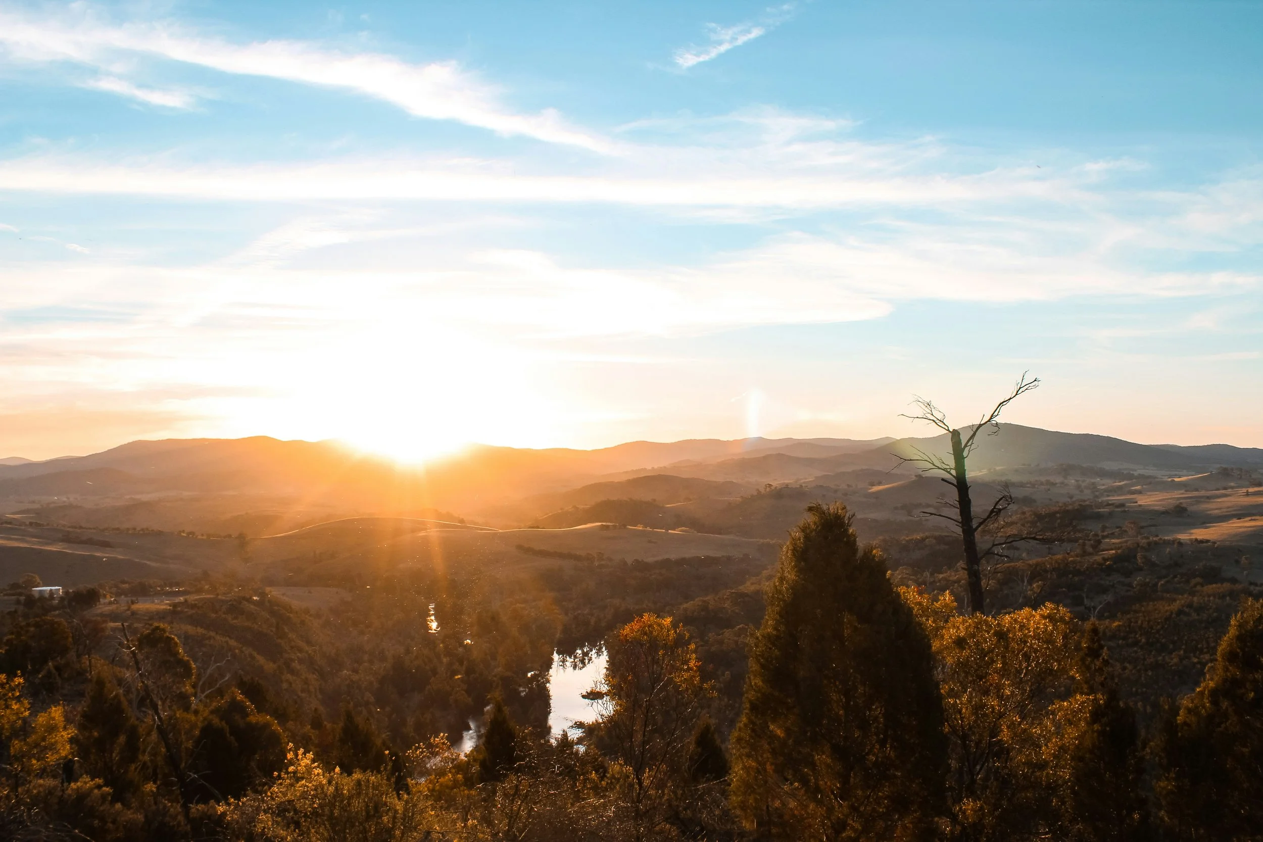 Sunset over rolling hills with a river, dry trees, and some green foliage in the foreground.