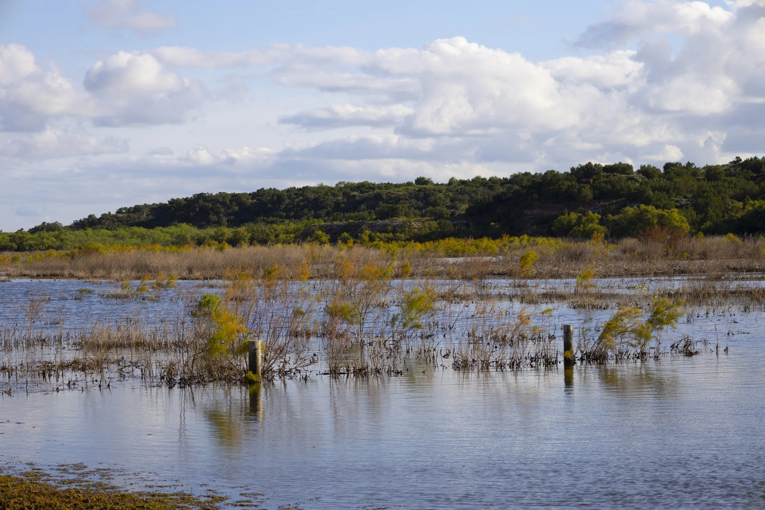 Stewart_Landscape_Seascape-3-2.jpg