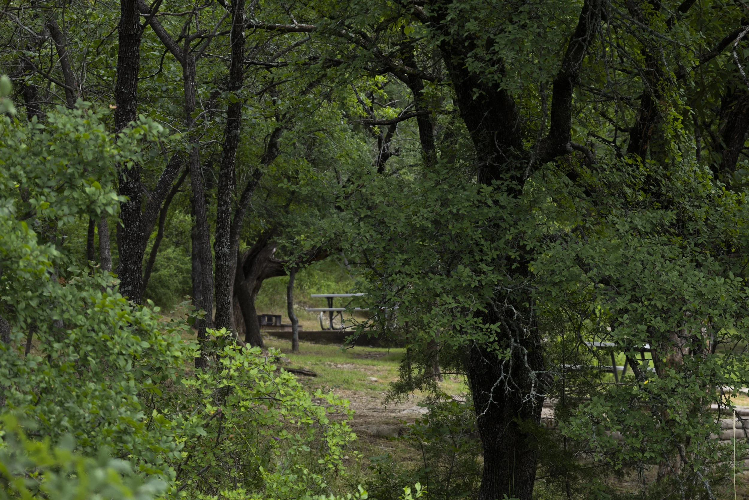 Stewart_Landscape_Final-04.jpg