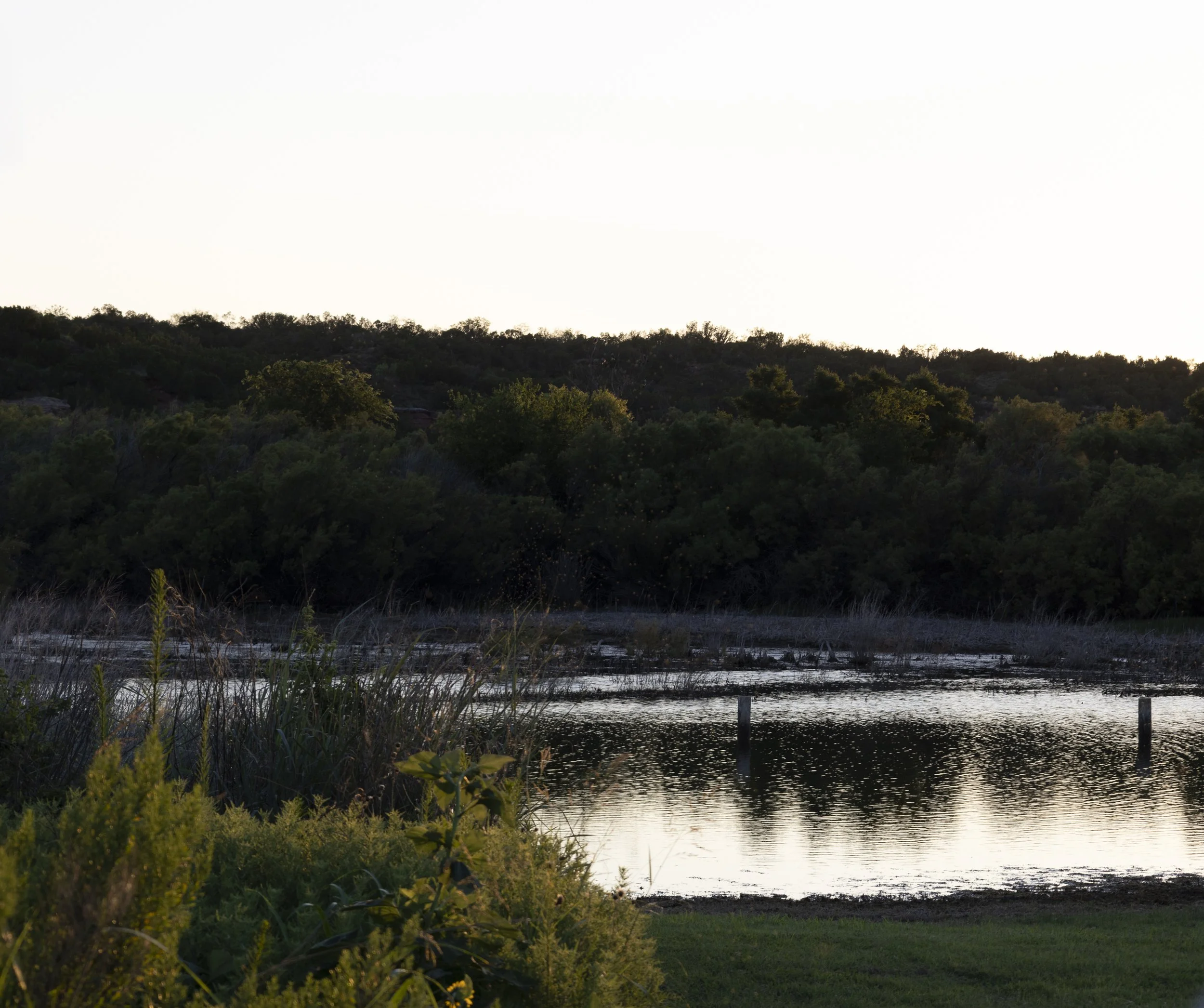 Stewart_Landscape-4.jpg